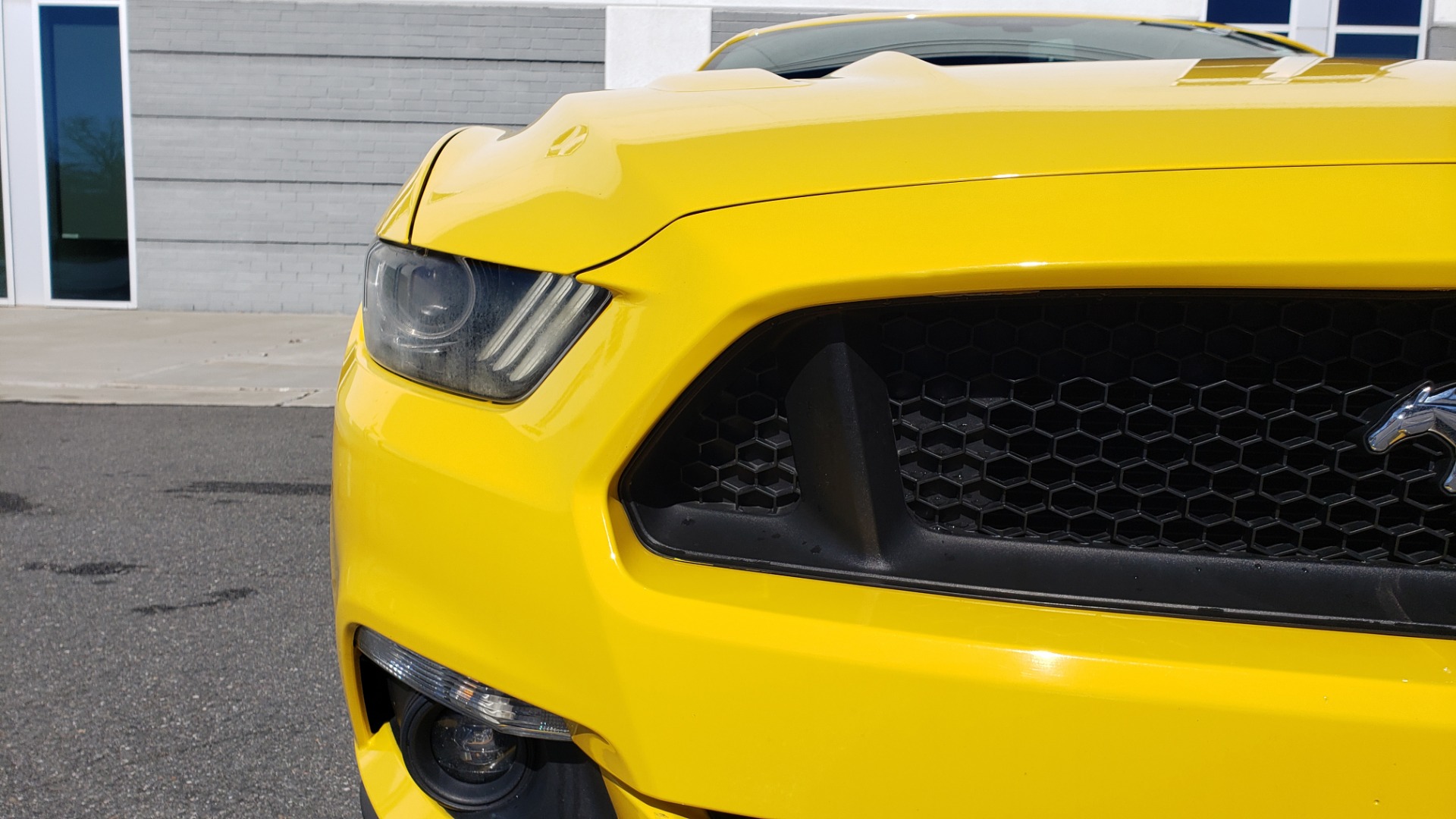 Used 2015 Ford MUSTANG GT 5.0L COUPE PREMIUM / 6-SPD MAN / SHAKER AUDIO / NAV for sale Sold at Formula Imports in Charlotte NC 28227 25