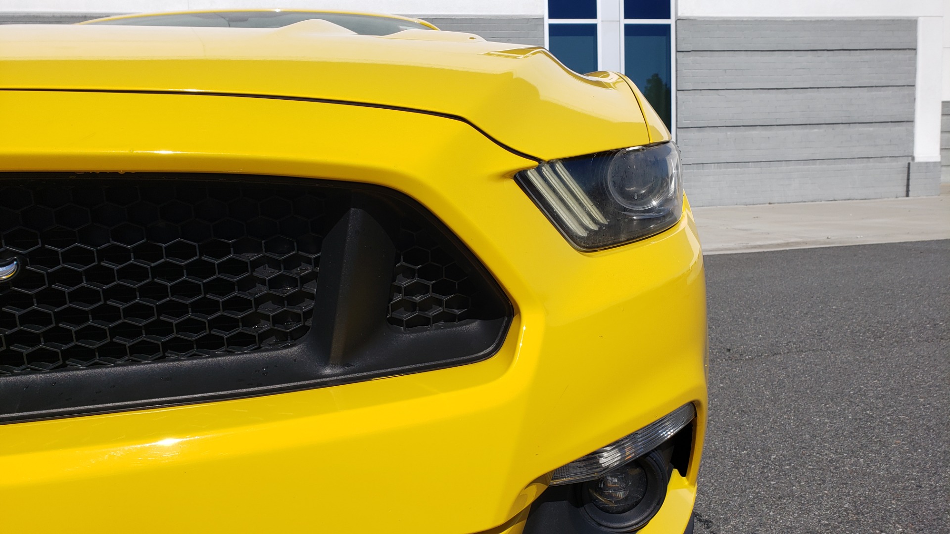 Used 2015 Ford MUSTANG GT 5.0L COUPE PREMIUM / 6-SPD MAN / SHAKER AUDIO / NAV for sale Sold at Formula Imports in Charlotte NC 28227 26