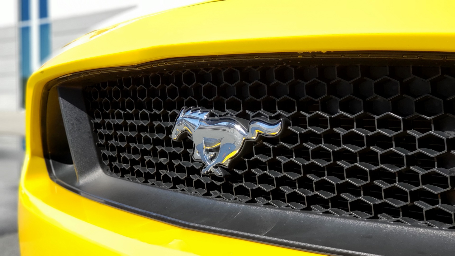 Used 2015 Ford MUSTANG GT 5.0L COUPE PREMIUM / 6-SPD MAN / SHAKER AUDIO / NAV for sale Sold at Formula Imports in Charlotte NC 28227 30