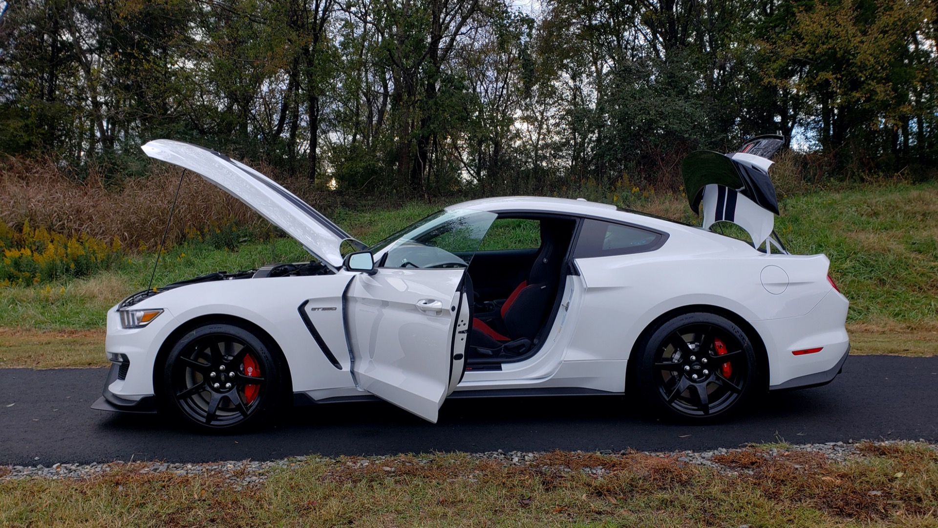 Used 2019 Ford MUSTANG SHELBY GT350R COUPE / B&O SOUND / ELECTRONICS PKG for sale Sold at Formula Imports in Charlotte NC 28227 19