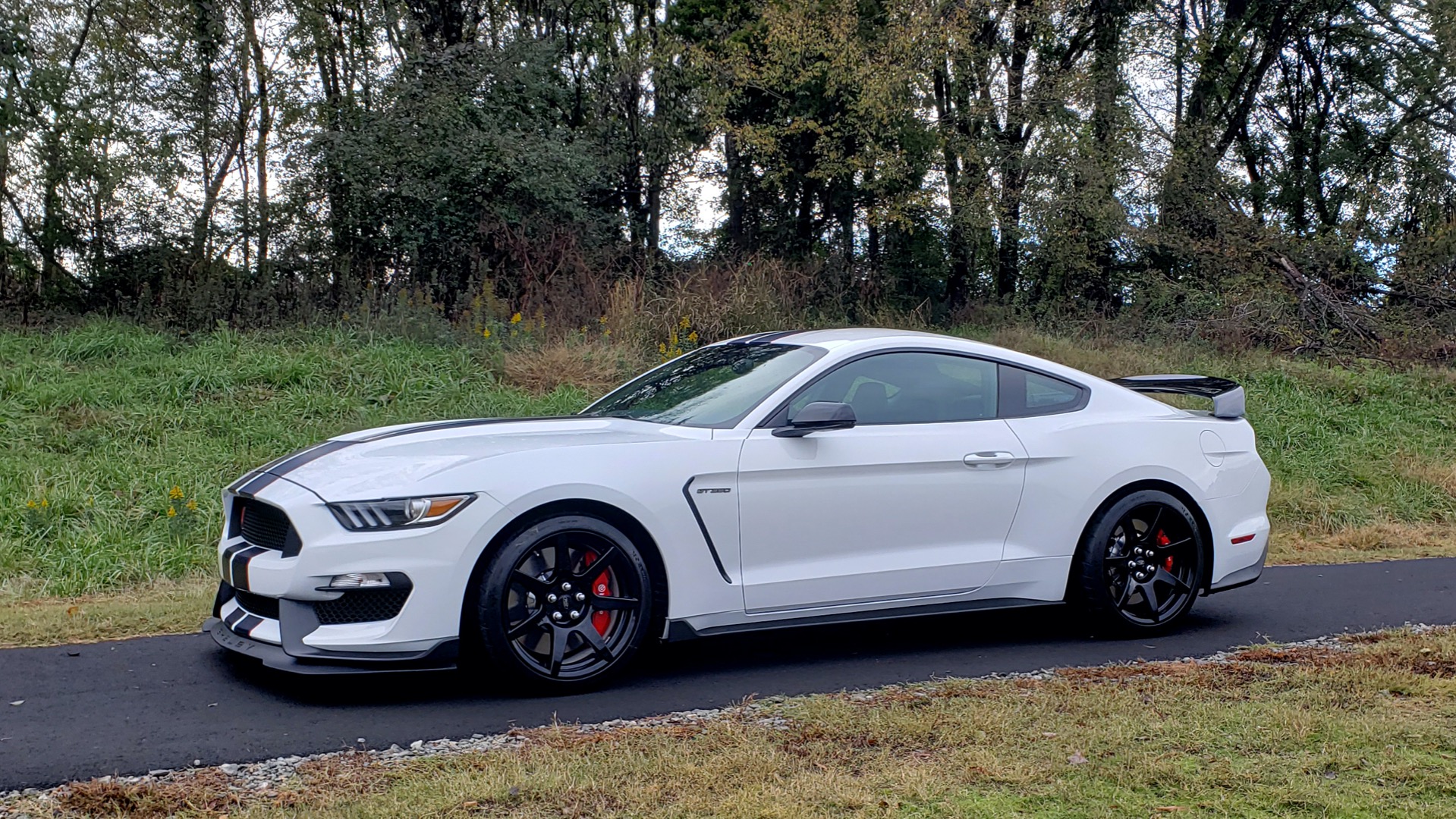 Used 2019 Ford MUSTANG SHELBY GT350R COUPE / B&O SOUND / ELECTRONICS PKG for sale Sold at Formula Imports in Charlotte NC 28227 2