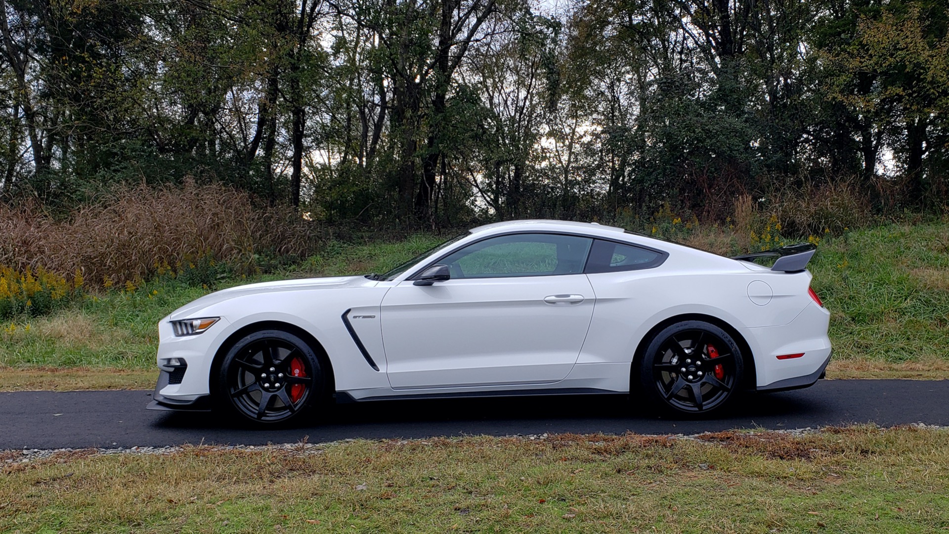 Used 2019 Ford MUSTANG SHELBY GT350R COUPE / B&O SOUND / ELECTRONICS PKG for sale Sold at Formula Imports in Charlotte NC 28227 3