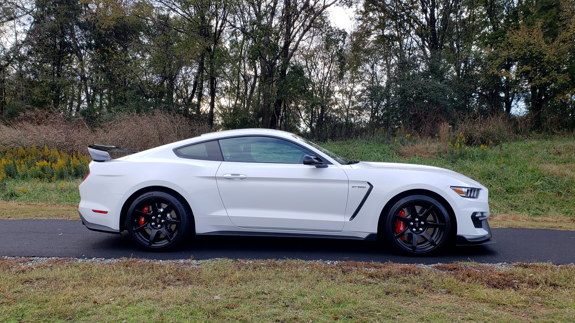 Used 2019 Ford MUSTANG SHELBY GT350R COUPE / B&O SOUND / ELECTRONICS PKG for sale Sold at Formula Imports in Charlotte NC 28227 35
