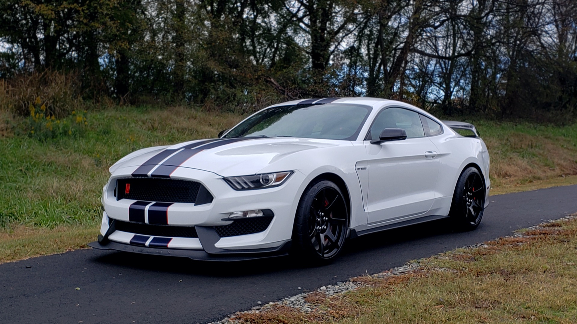 Used 2019 Ford MUSTANG SHELBY GT350R COUPE / B&O SOUND / ELECTRONICS PKG for sale Sold at Formula Imports in Charlotte NC 28227 1