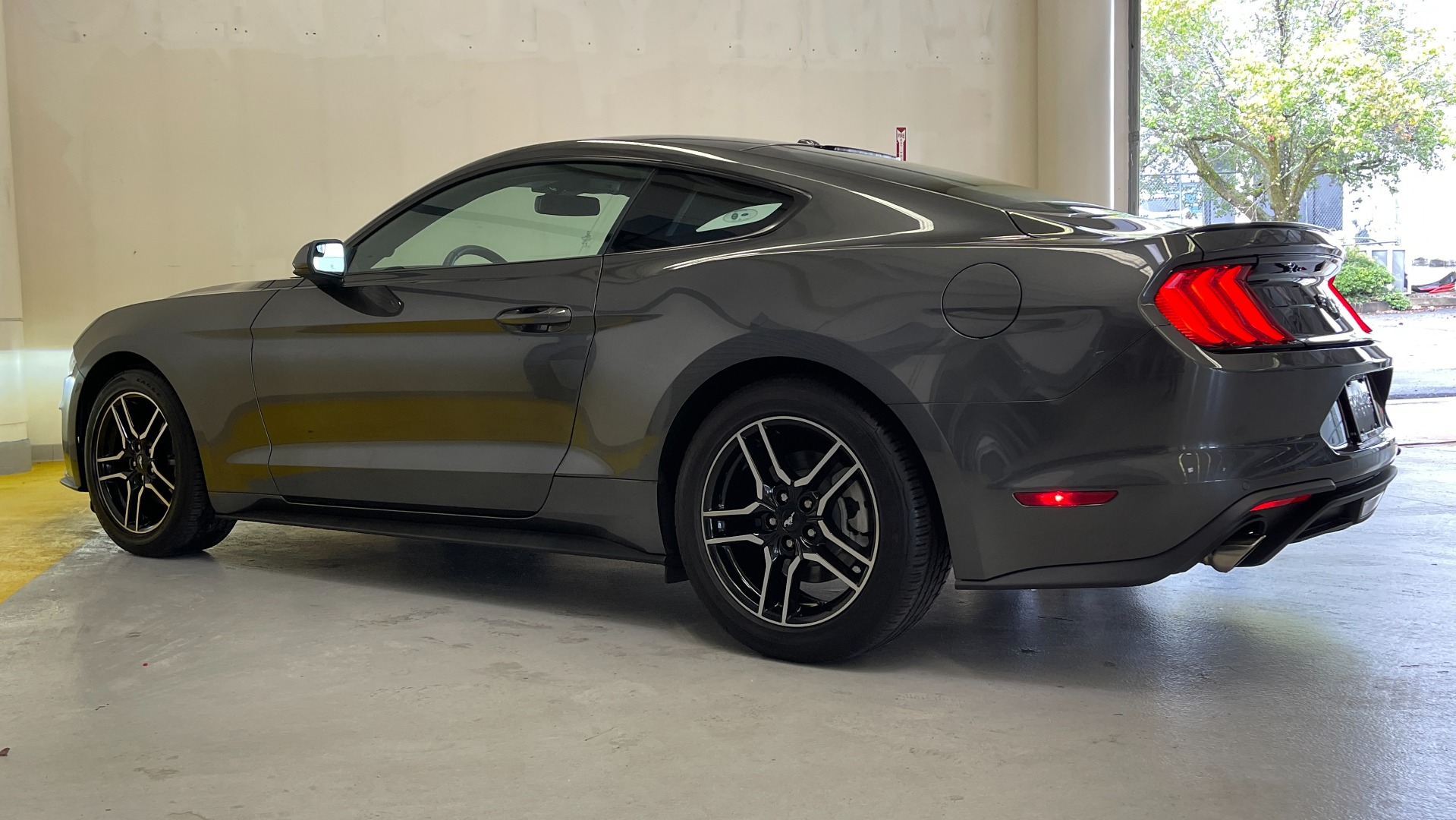 Used 2019 Ford Mustang EcoBoost for sale Sold at Formula Imports in Charlotte NC 28227 10