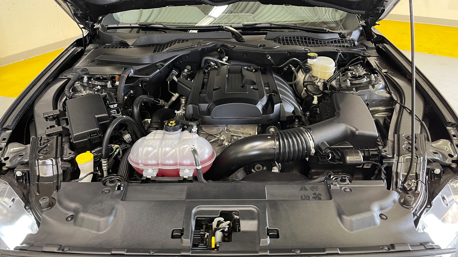 Used 2019 Ford Mustang EcoBoost for sale Sold at Formula Imports in Charlotte NC 28227 23