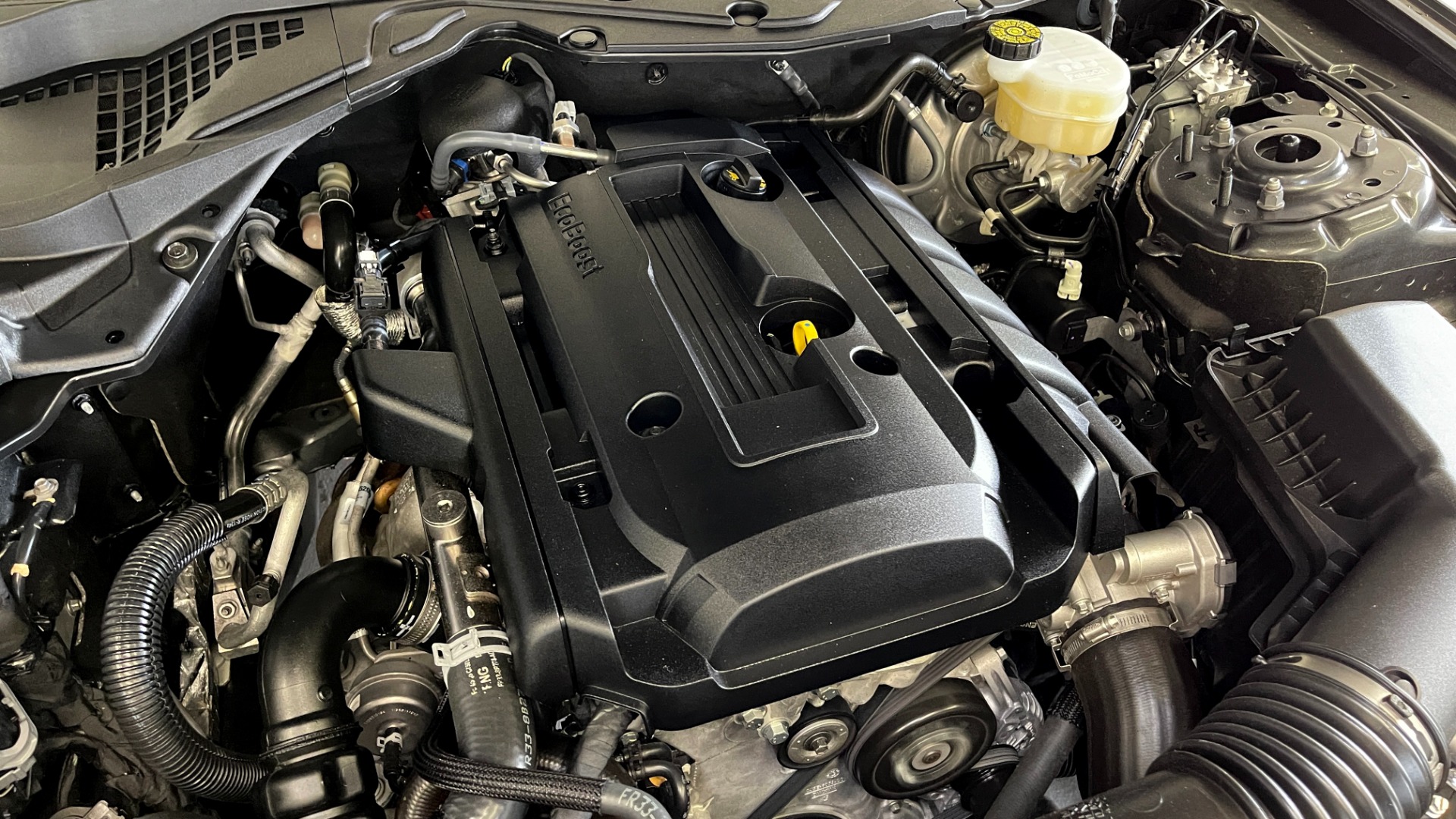 Used 2019 Ford Mustang EcoBoost for sale Sold at Formula Imports in Charlotte NC 28227 24