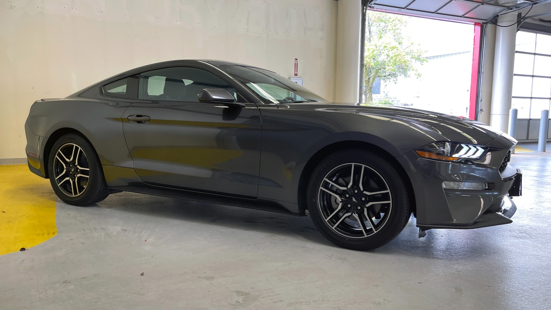 Used 2019 Ford Mustang EcoBoost for sale Sold at Formula Imports in Charlotte NC 28227 5