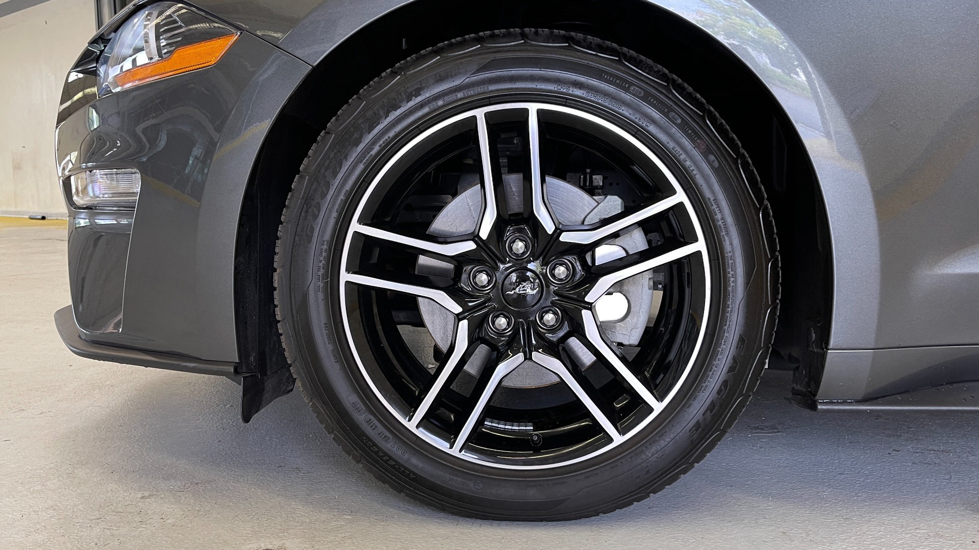 Used 2019 Ford Mustang EcoBoost for sale Sold at Formula Imports in Charlotte NC 28227 60
