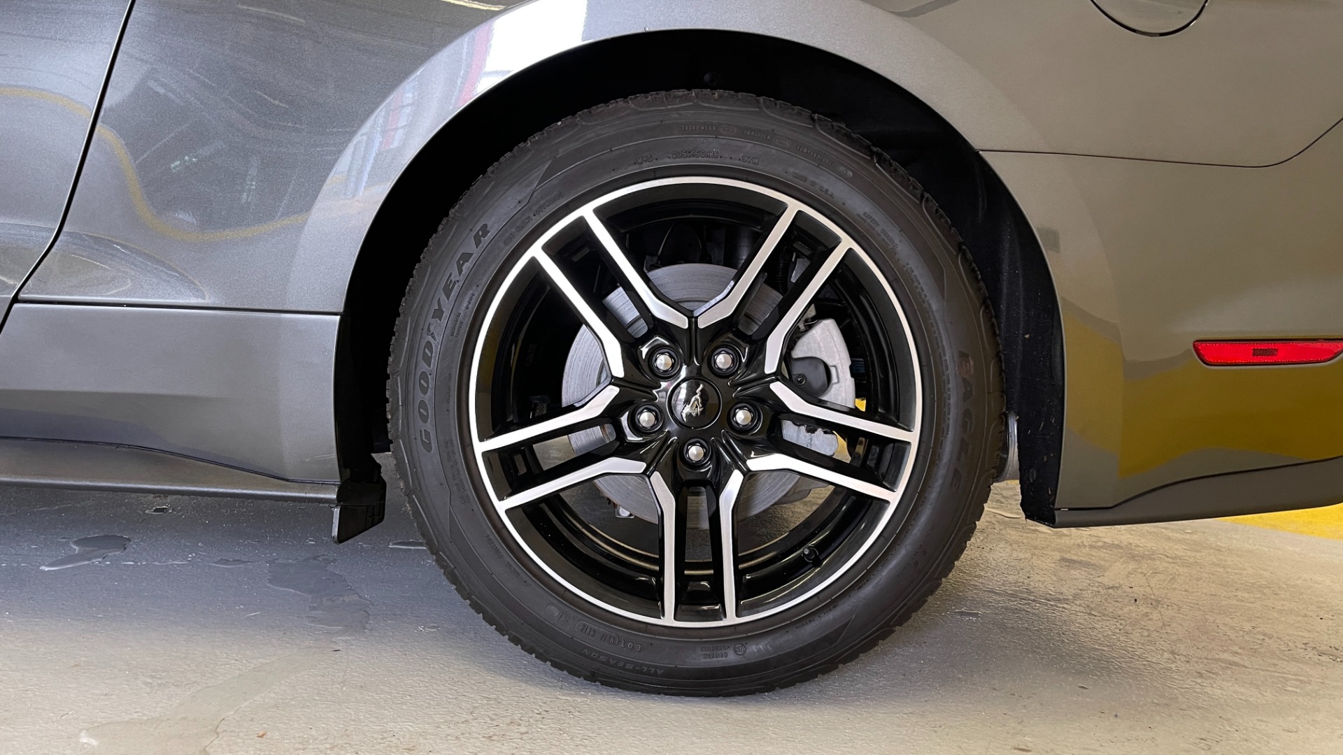 Used 2019 Ford Mustang EcoBoost for sale Sold at Formula Imports in Charlotte NC 28227 61