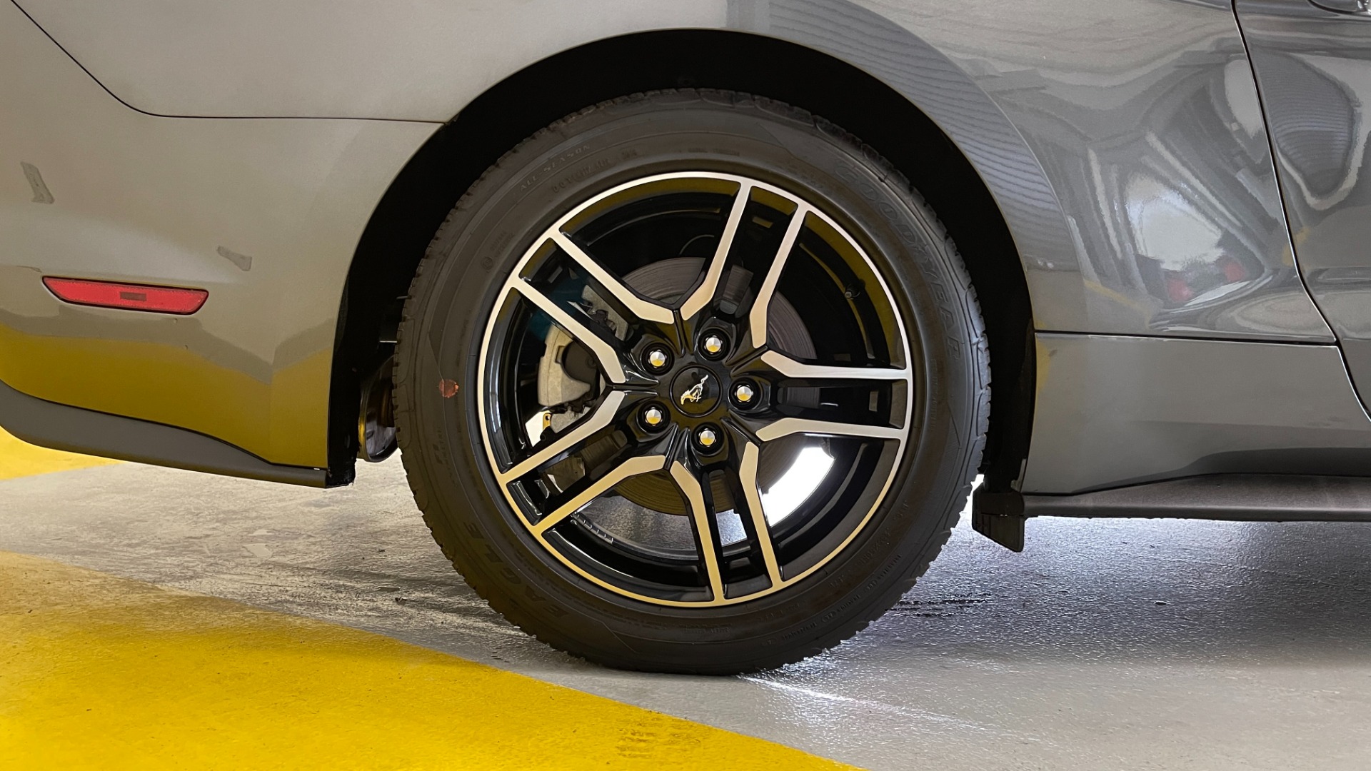 Used 2019 Ford Mustang EcoBoost for sale Sold at Formula Imports in Charlotte NC 28227 62