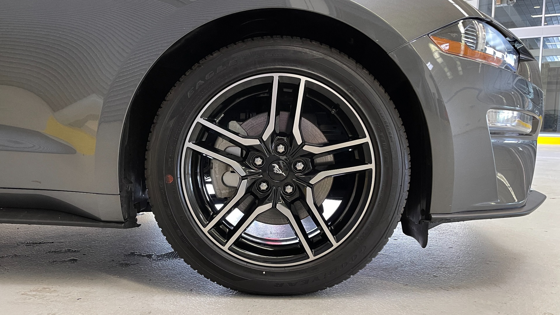 Used 2019 Ford Mustang EcoBoost for sale Sold at Formula Imports in Charlotte NC 28227 63