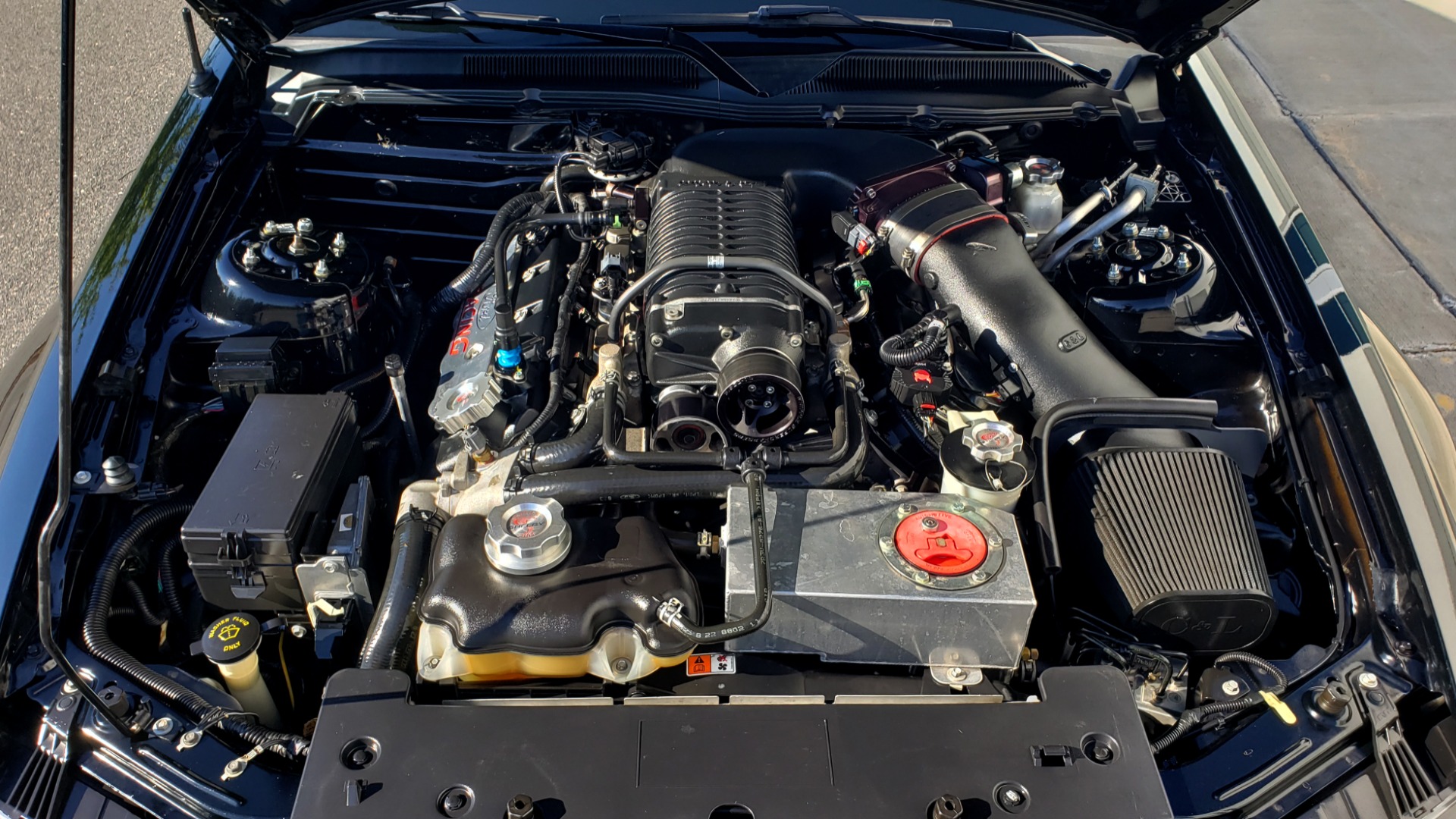 Used 2009 Ford MUSTANG SHELBY GT500 / RED SNAKE EDITION / UPGRADED 750RWHP / NAV / SHAKER SND for sale Sold at Formula Imports in Charlotte NC 28227 18