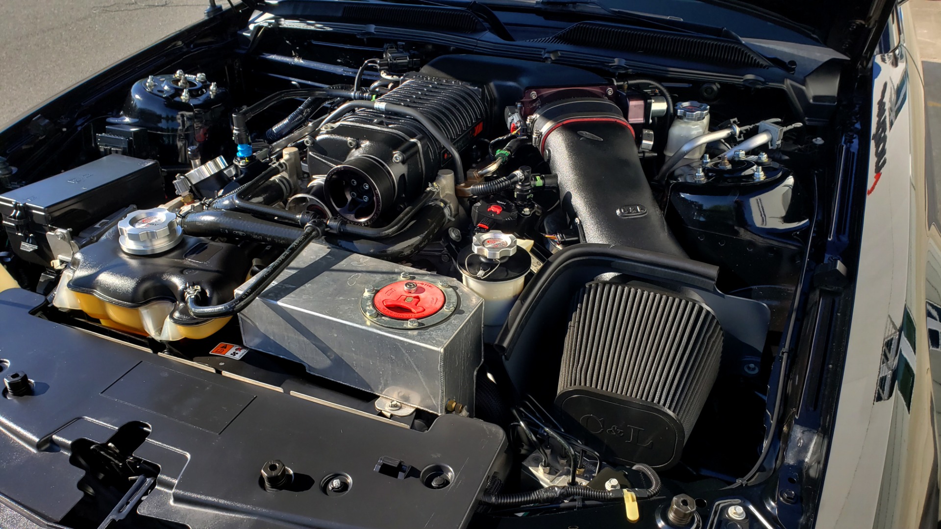 Used 2009 Ford MUSTANG SHELBY GT500 / RED SNAKE EDITION / UPGRADED 750RWHP / NAV / SHAKER SND for sale $39,499 at Formula Imports in Charlotte NC 28227 19