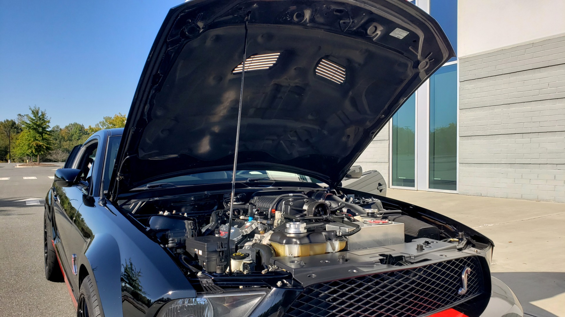 Used 2009 Ford MUSTANG SHELBY GT500 / RED SNAKE EDITION / UPGRADED 750RWHP / NAV / SHAKER SND for sale Sold at Formula Imports in Charlotte NC 28227 31