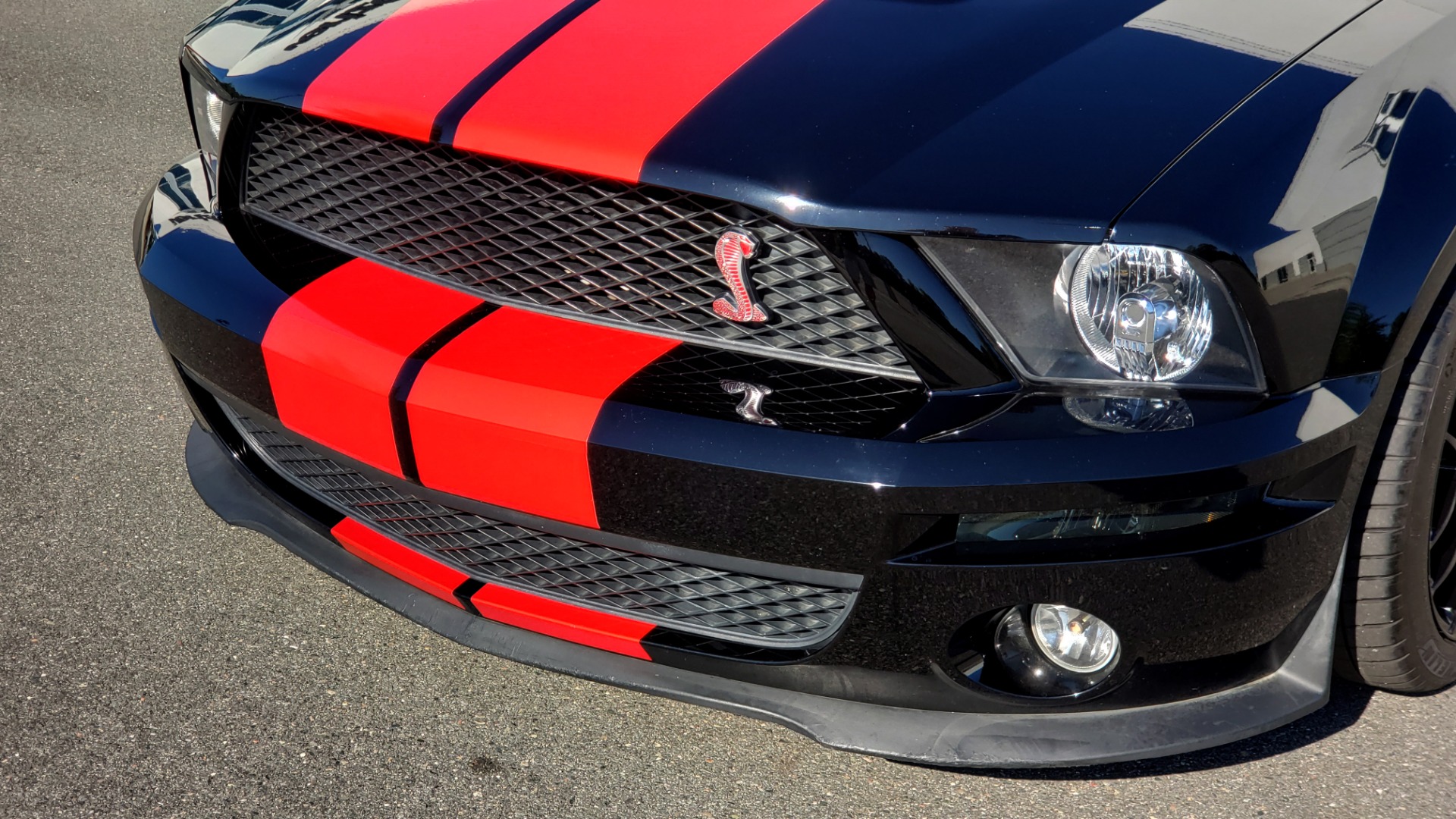 Used 2009 Ford MUSTANG SHELBY GT500 / RED SNAKE EDITION / UPGRADED 750RWHP / NAV / SHAKER SND for sale Sold at Formula Imports in Charlotte NC 28227 36