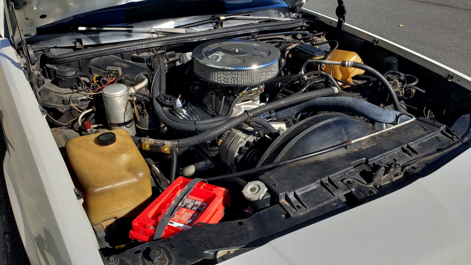 Used 1979 Chevrolet EL CAMINO SS / NEW 350 V8 / AUTO / COWL HOOD / CUSTOM SOUND / FLOWMASTERS for sale Sold at Formula Imports in Charlotte NC 28227 26