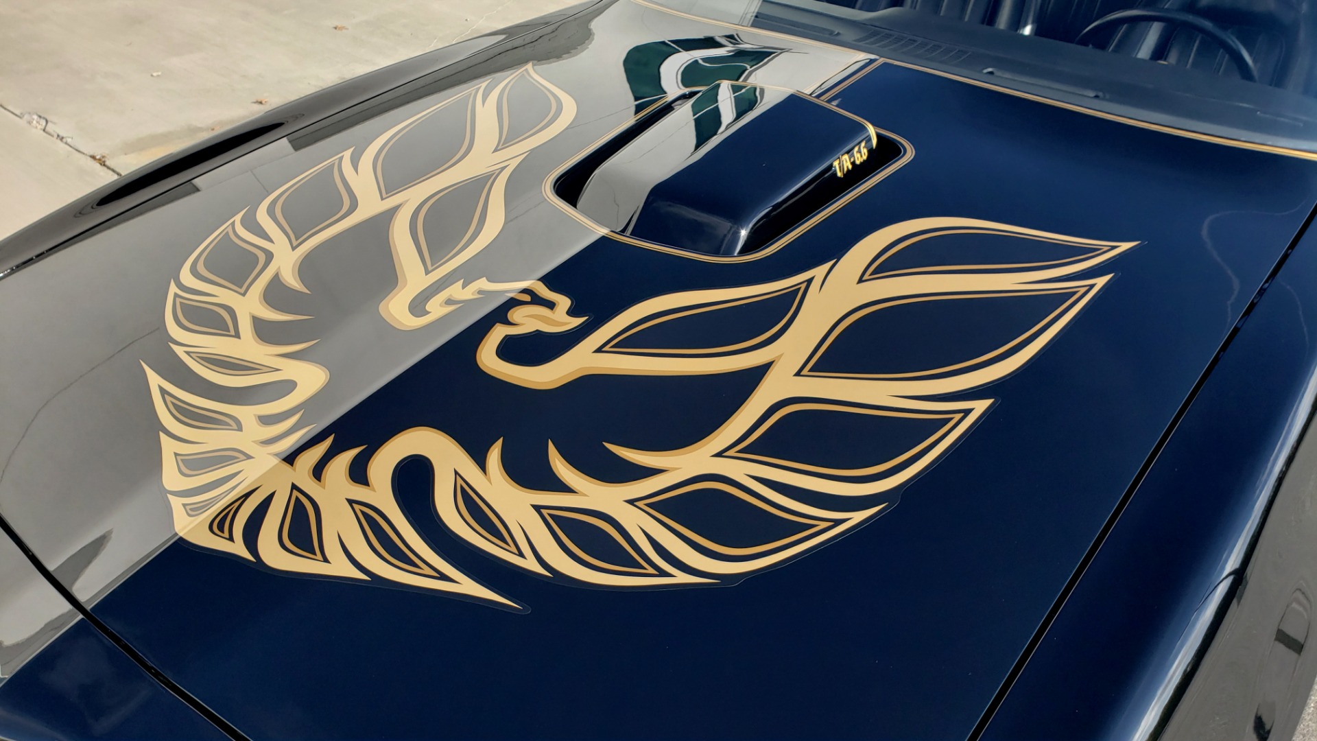 Used 1977 Pontiac TRANS AM Y82 SPECIAL EDITION BANDIT / 6.6L / 4-SPEED MANUAL / LOW MILES for sale Sold at Formula Imports in Charlotte NC 28227 13