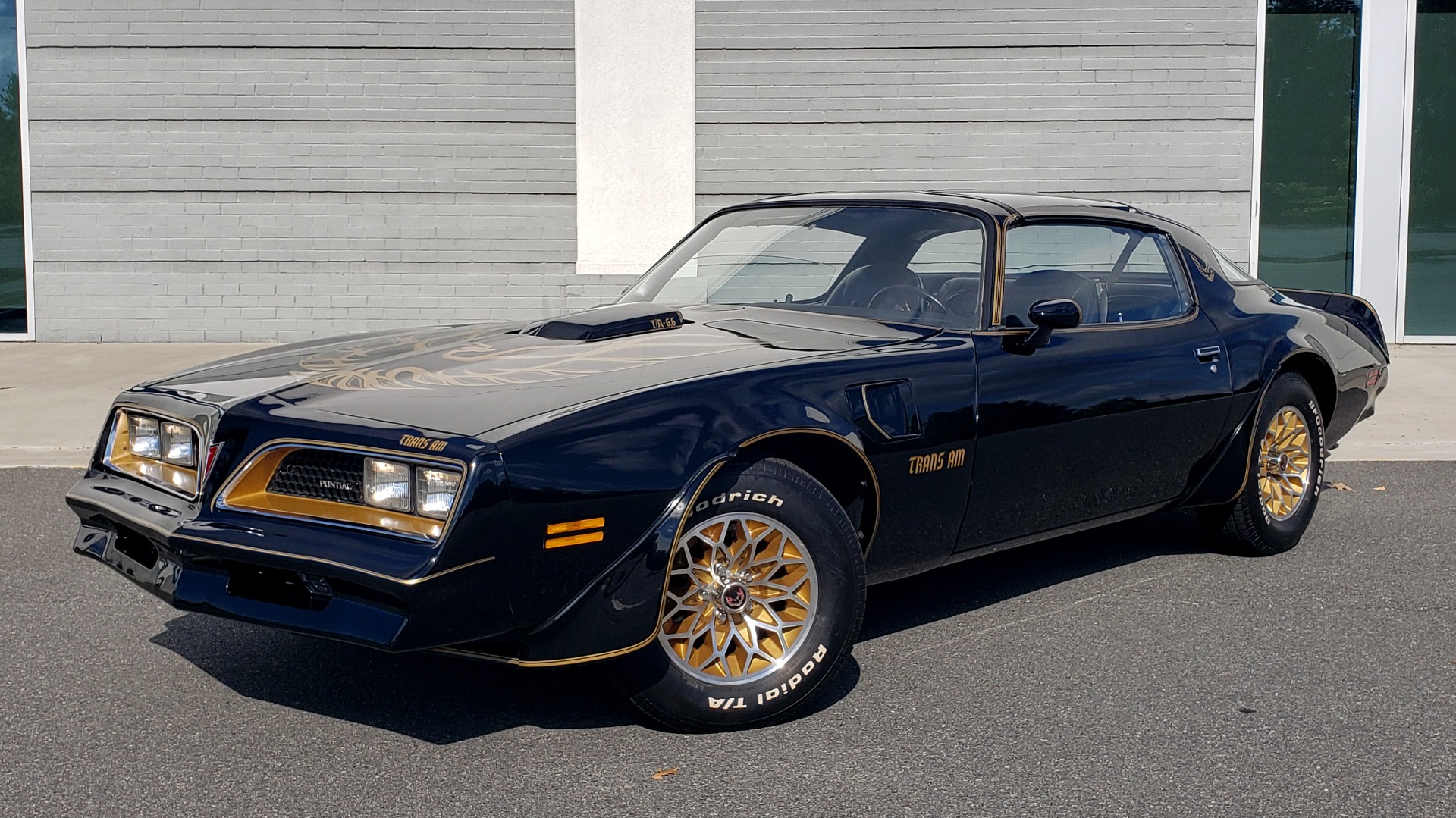 Used 1977 Pontiac TRANS AM Y82 SPECIAL EDITION BANDIT / 6.6L / 4-SPEED MANUAL / LOW MILES for sale Sold at Formula Imports in Charlotte NC 28227 2