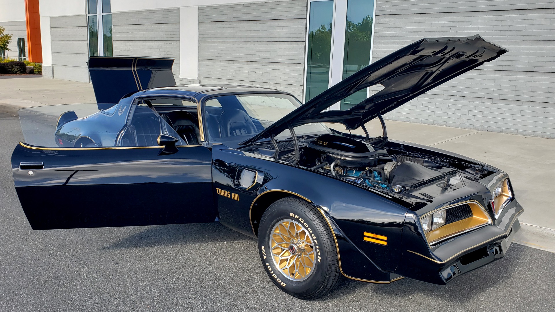 Used 1977 Pontiac TRANS AM Y82 SPECIAL EDITION BANDIT / 6.6L / 4-SPEED MANUAL / LOW MILES for sale Sold at Formula Imports in Charlotte NC 28227 21