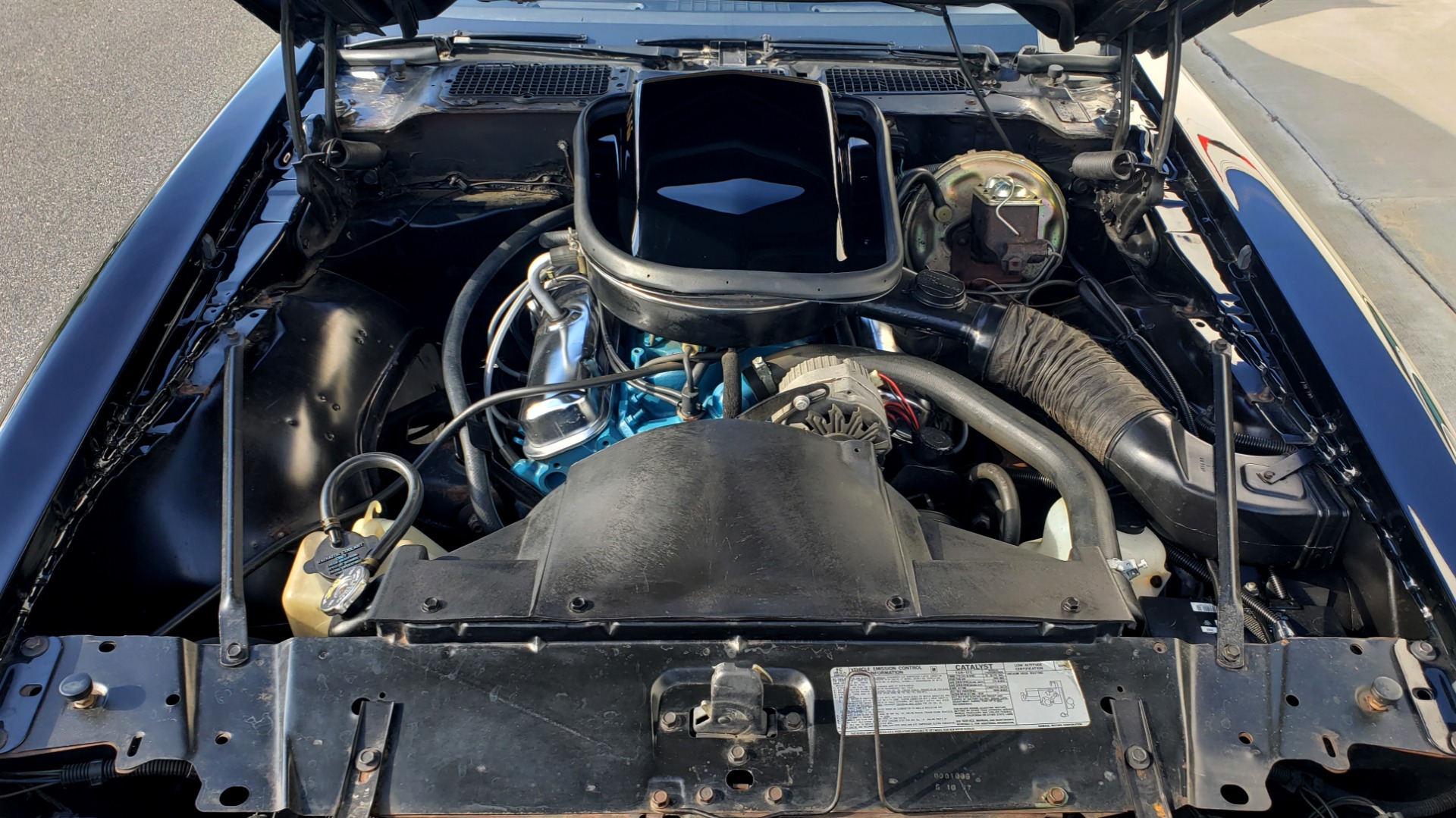 Used 1977 Pontiac TRANS AM Y82 SPECIAL EDITION BANDIT / 6.6L / 4-SPEED MANUAL / LOW MILES for sale Sold at Formula Imports in Charlotte NC 28227 23