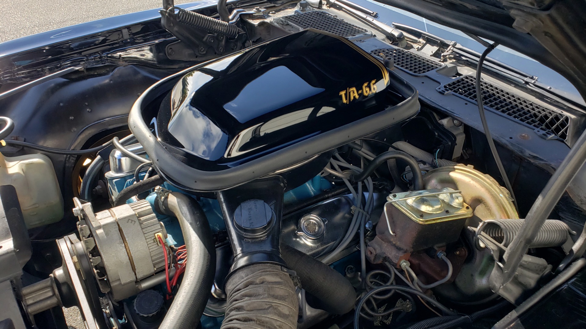 Used 1977 Pontiac TRANS AM Y82 SPECIAL EDITION BANDIT / 6.6L / 4-SPEED MANUAL / LOW MILES for sale Sold at Formula Imports in Charlotte NC 28227 25