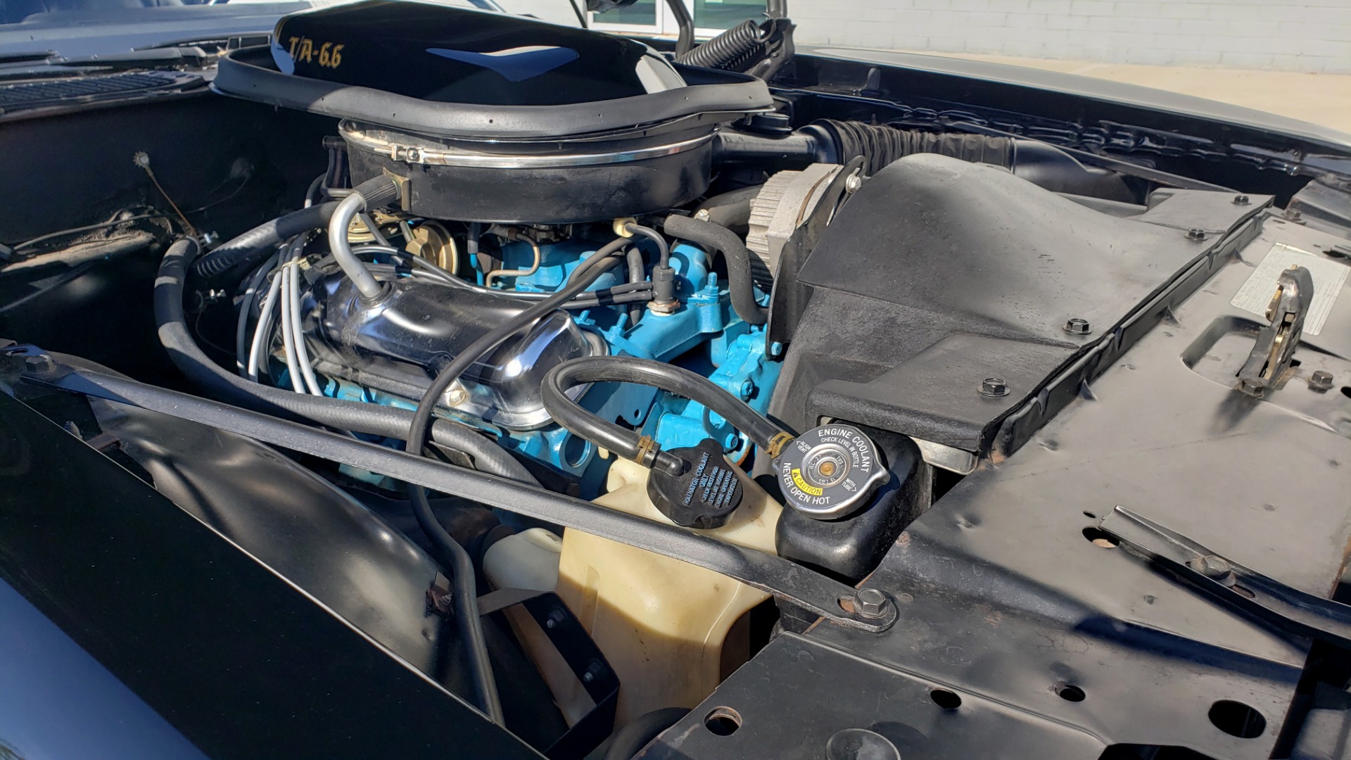 Used 1977 Pontiac TRANS AM Y82 SPECIAL EDITION BANDIT / 6.6L / 4-SPEED MANUAL / LOW MILES for sale Sold at Formula Imports in Charlotte NC 28227 26