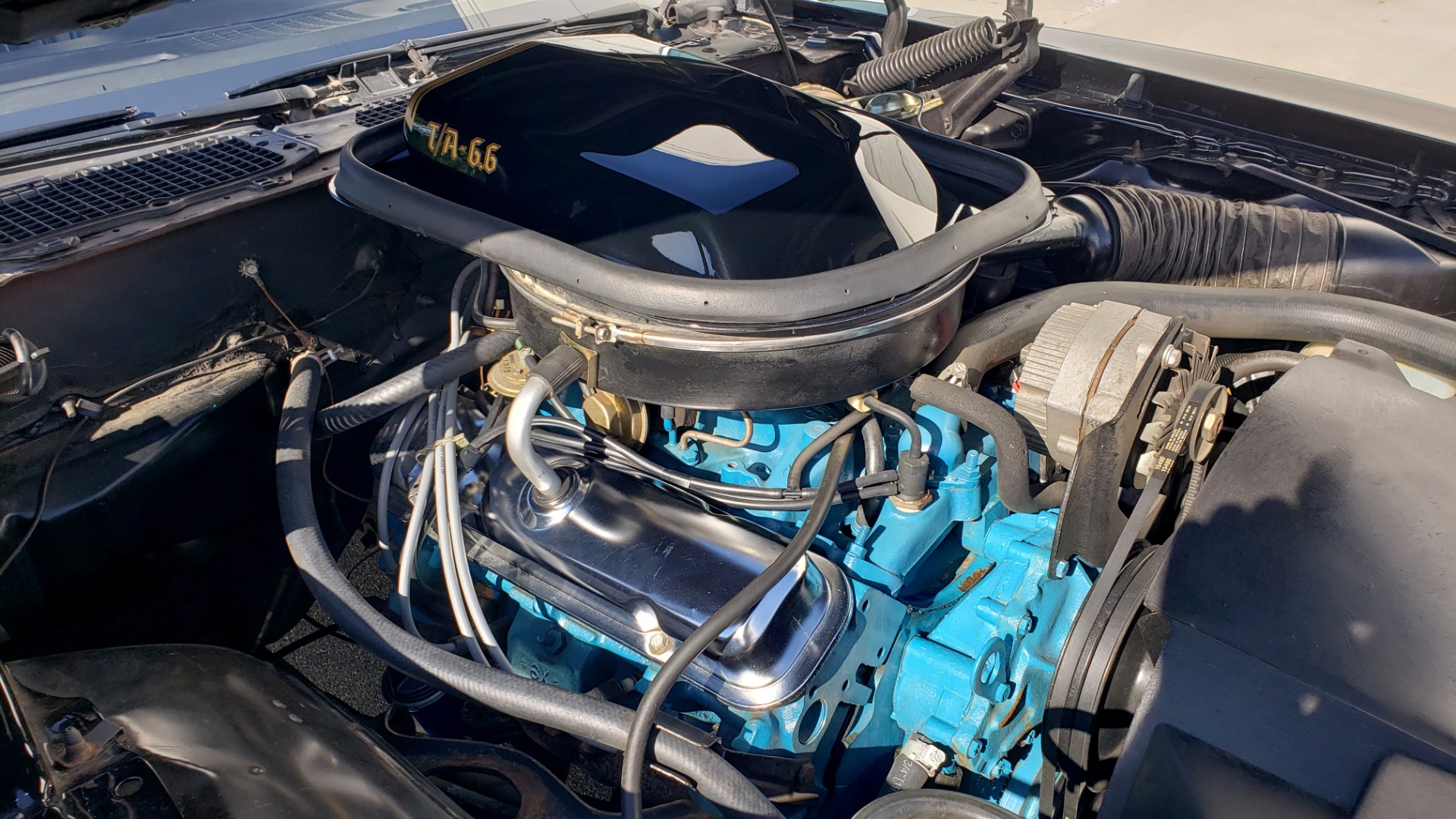 Used 1977 Pontiac TRANS AM Y82 SPECIAL EDITION BANDIT / 6.6L / 4-SPEED MANUAL / LOW MILES for sale Sold at Formula Imports in Charlotte NC 28227 27