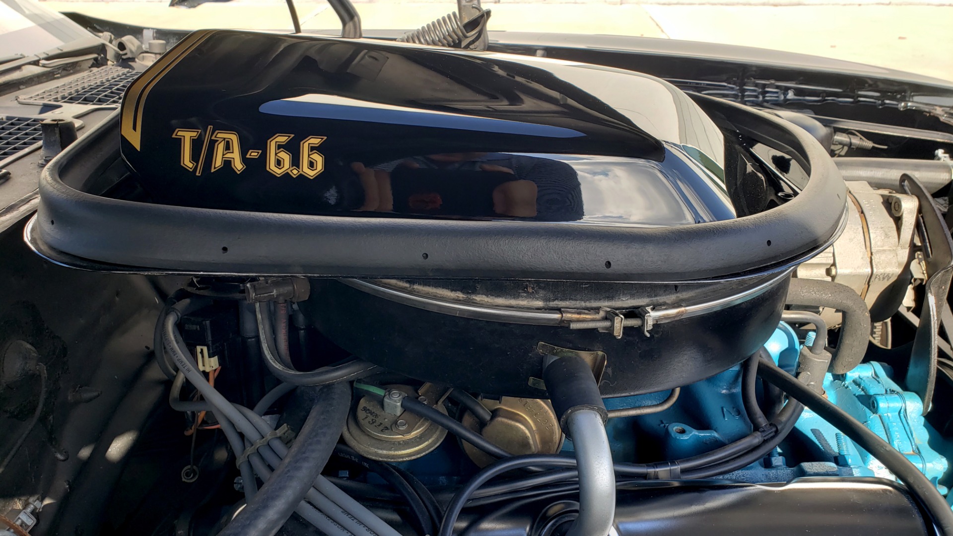 Used 1977 Pontiac TRANS AM Y82 SPECIAL EDITION BANDIT / 6.6L / 4-SPEED MANUAL / LOW MILES for sale $89,900 at Formula Imports in Charlotte NC 28227 29