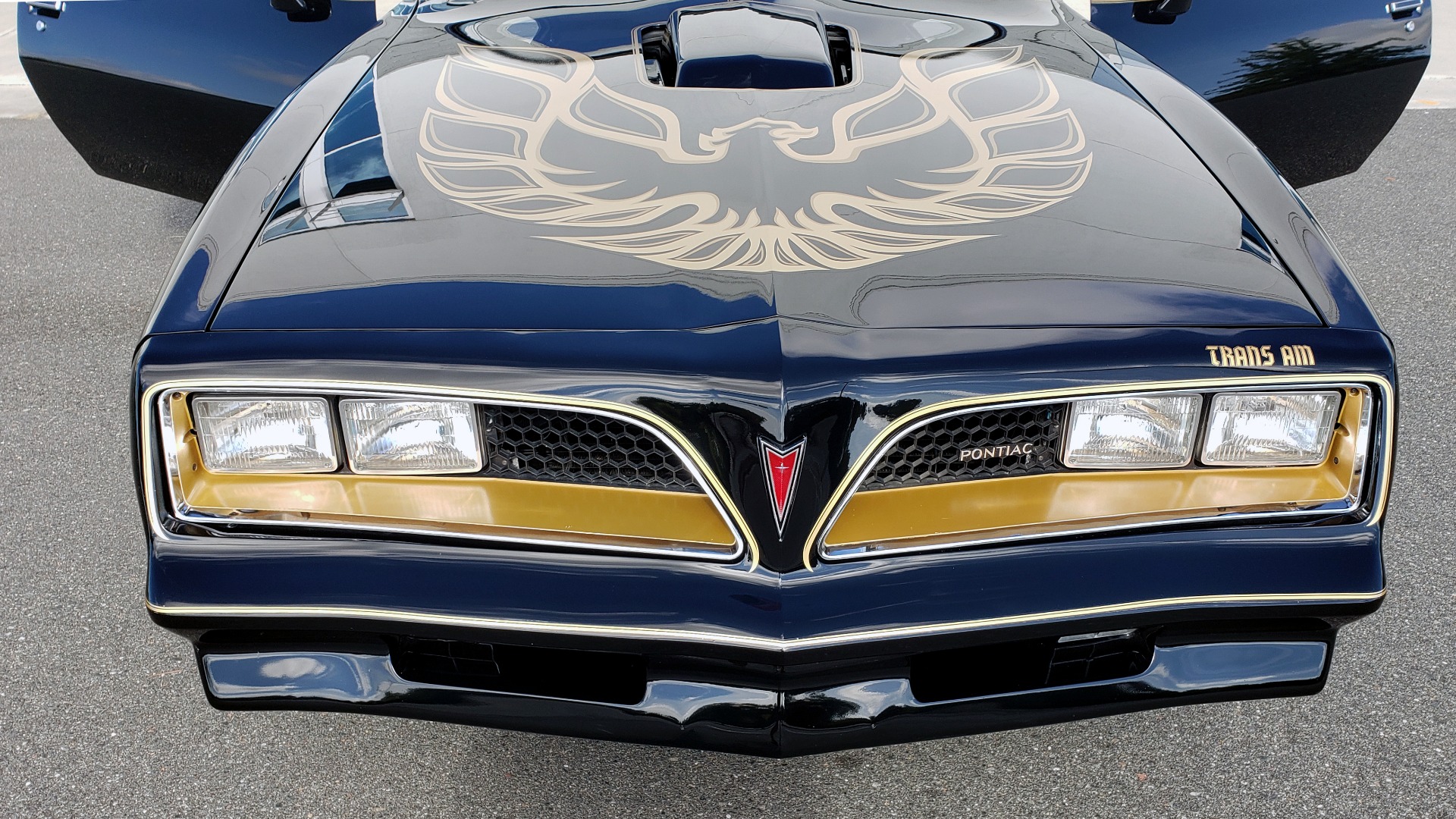 Used 1977 Pontiac TRANS AM Y82 SPECIAL EDITION BANDIT / 6.6L / 4-SPEED MANUAL / LOW MILES for sale Sold at Formula Imports in Charlotte NC 28227 36
