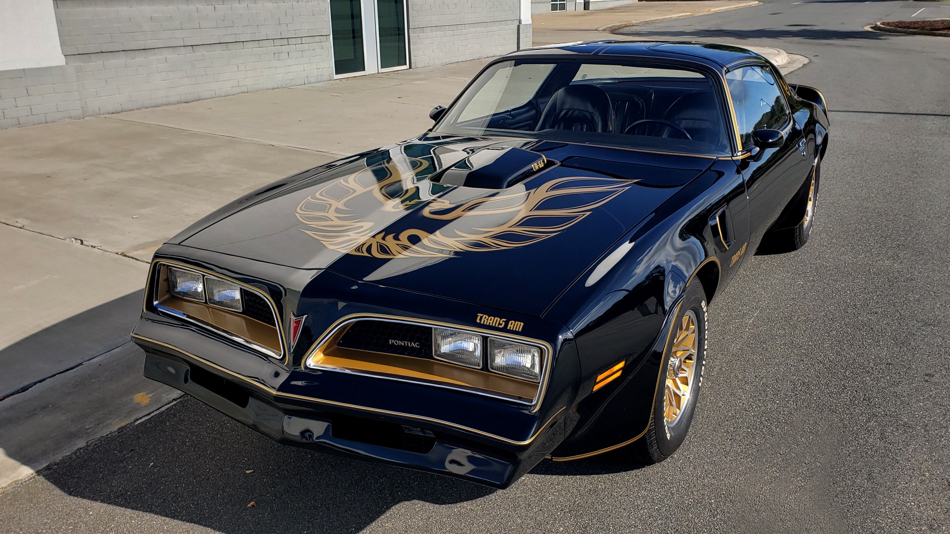 Used 1977 Pontiac TRANS AM Y82 SPECIAL EDITION BANDIT / 6.6L / 4-SPEED MANUAL / LOW MILES for sale Sold at Formula Imports in Charlotte NC 28227 4