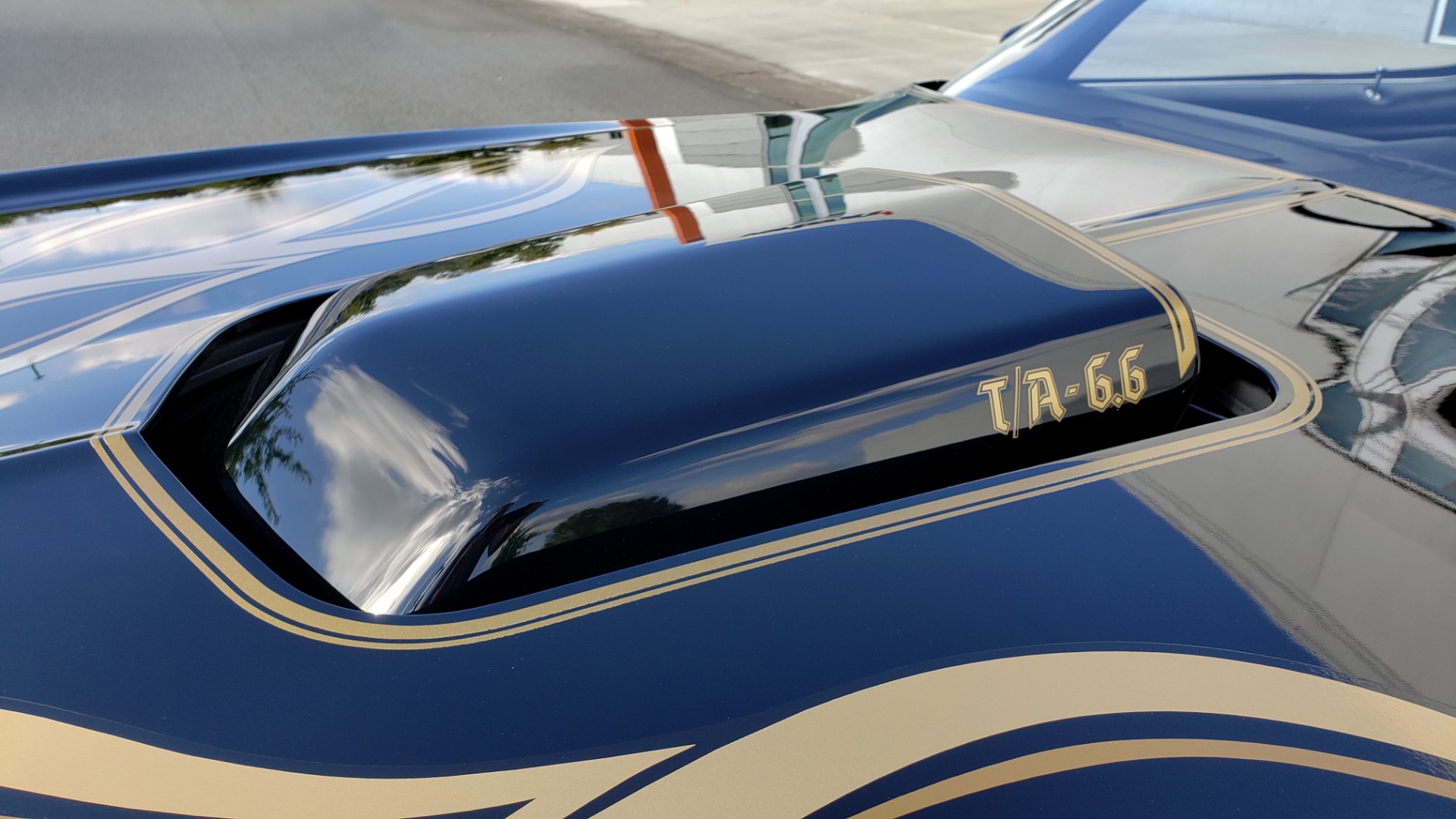 Used 1977 Pontiac TRANS AM Y82 SPECIAL EDITION BANDIT / 6.6L / 4-SPEED MANUAL / LOW MILES for sale Sold at Formula Imports in Charlotte NC 28227 42