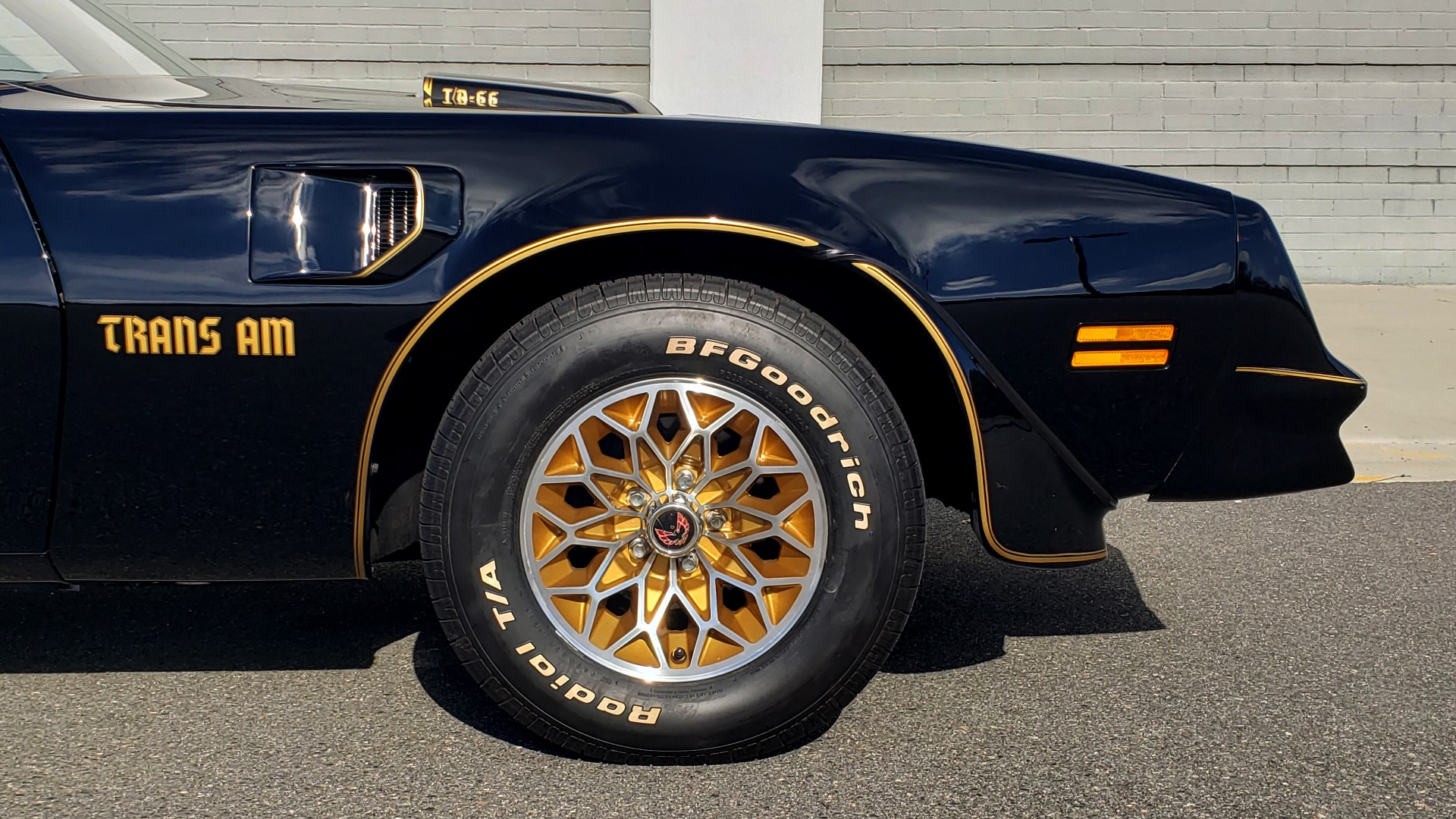 Used 1977 Pontiac TRANS AM Y82 SPECIAL EDITION BANDIT / 6.6L / 4-SPEED MANUAL / LOW MILES for sale Sold at Formula Imports in Charlotte NC 28227 92