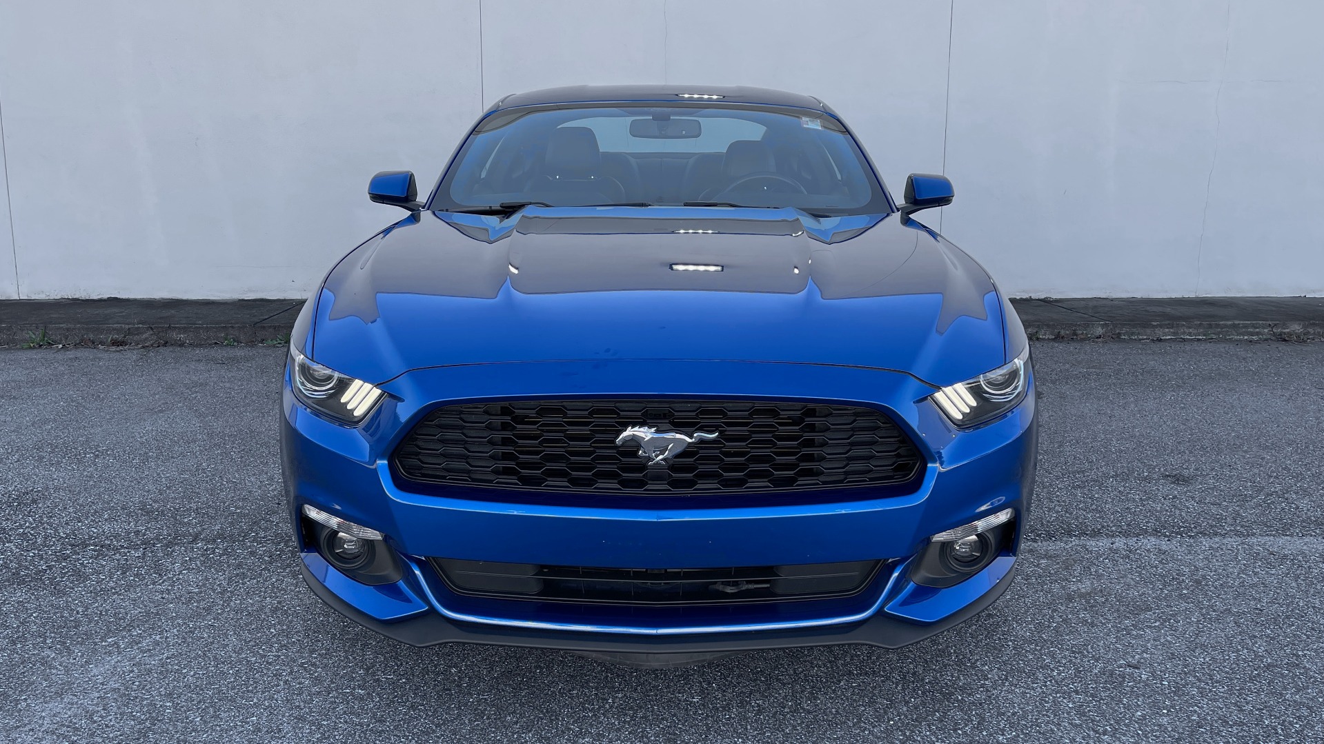 Used 2017 Ford MUSTANG ECOBOOST 2.3L PREMIUM / 6-SPD MANUAL / SYNC3 / REARVIEW for sale Sold at Formula Imports in Charlotte NC 28227 12