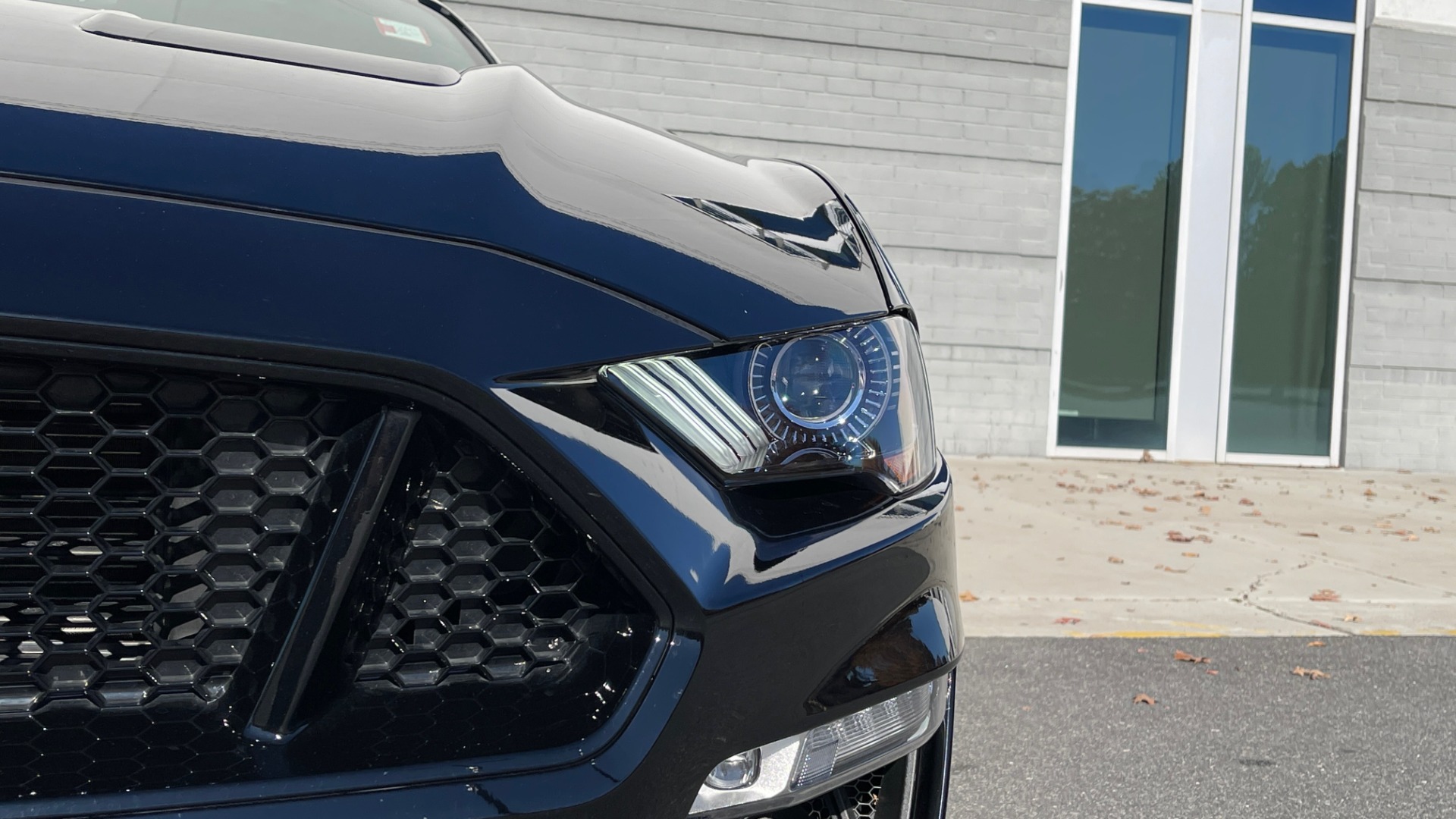 Used 2019 Ford MUSTANG GT PREMIUM 5.0L / AUTO / SYNC3 8IN SCREEN / 19IN WHLS / REARVIEW for sale Sold at Formula Imports in Charlotte NC 28227 13