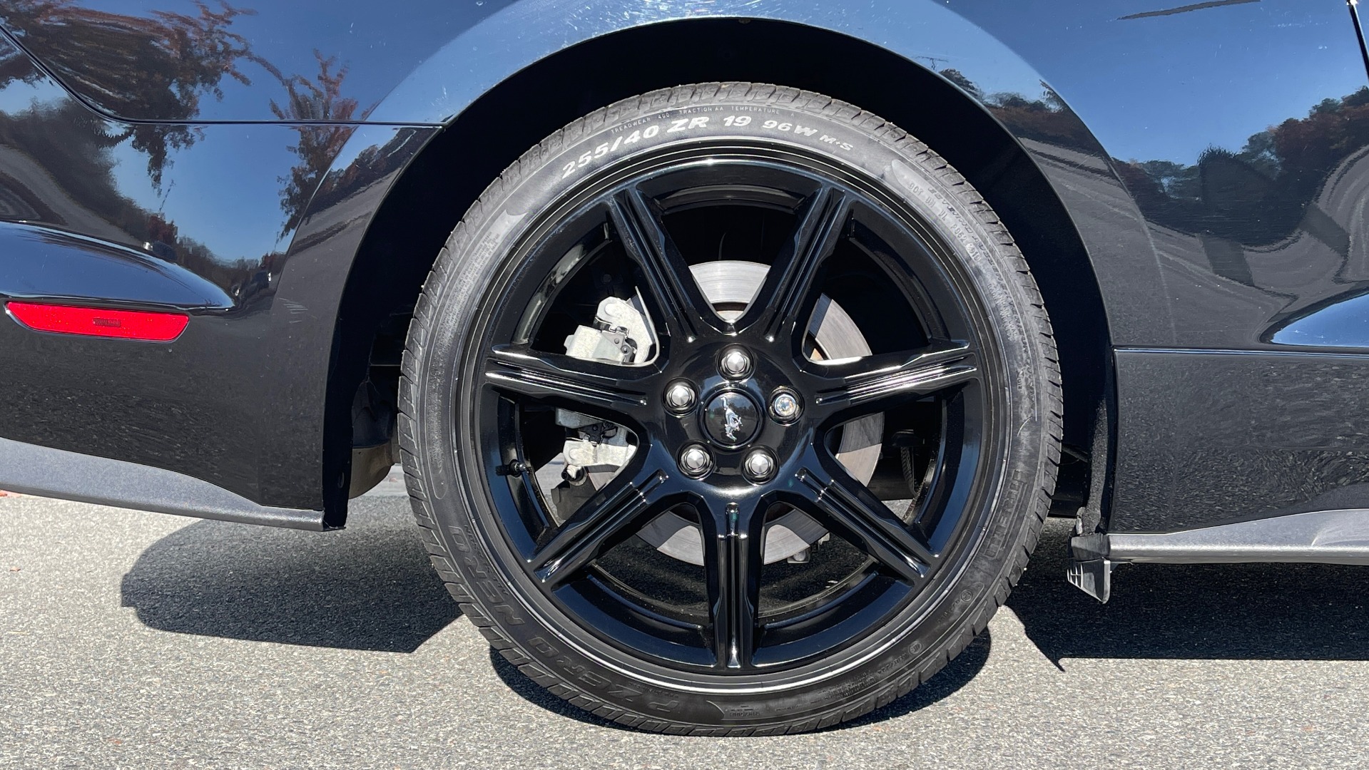 Used 2019 Ford MUSTANG GT PREMIUM 5.0L / AUTO / SYNC3 8IN SCREEN / 19IN WHLS / REARVIEW for sale Sold at Formula Imports in Charlotte NC 28227 58