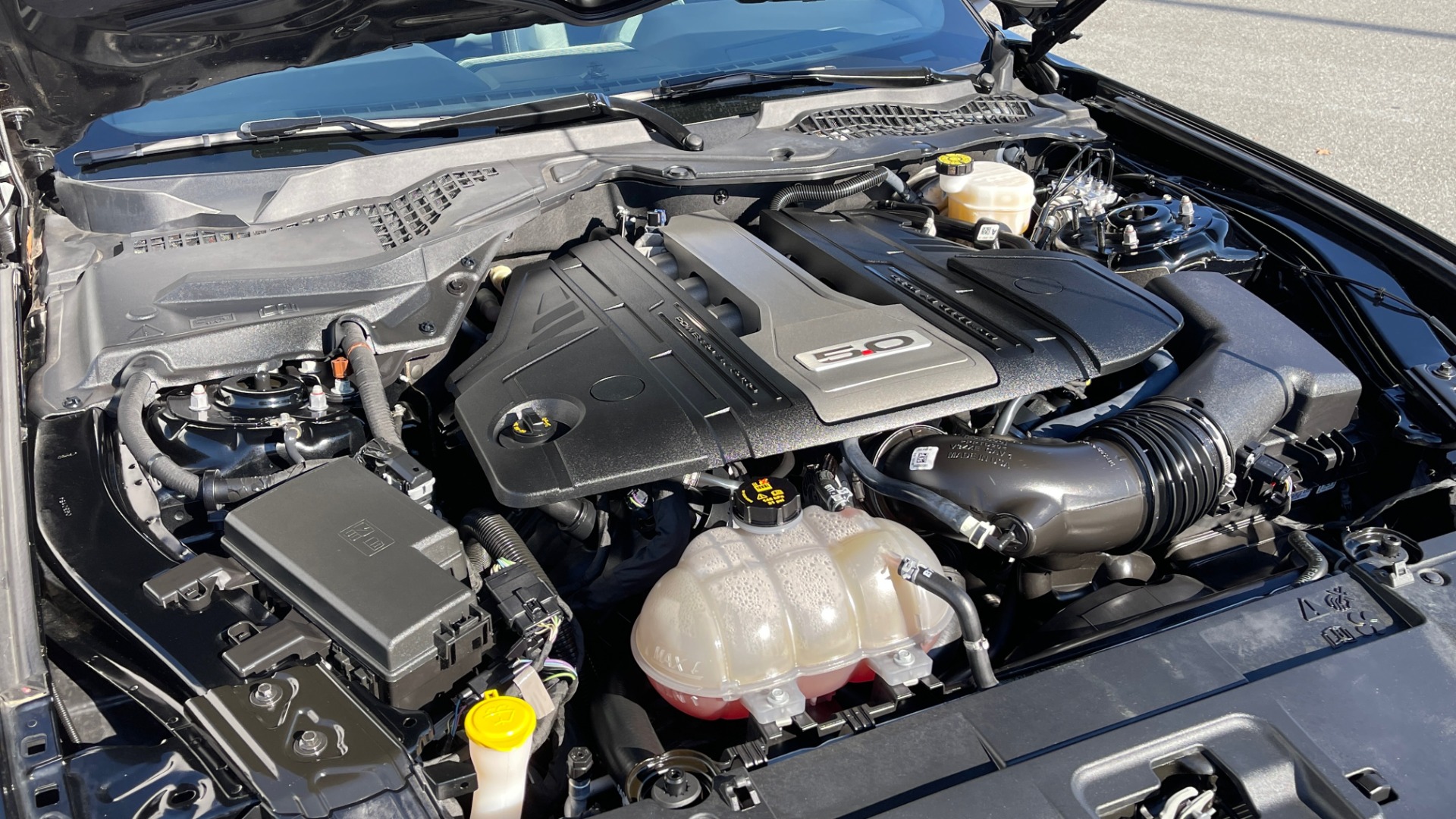Used 2019 Ford MUSTANG GT PREMIUM 5.0L / AUTO / SYNC3 8IN SCREEN / 19IN WHLS / REARVIEW for sale Sold at Formula Imports in Charlotte NC 28227 9