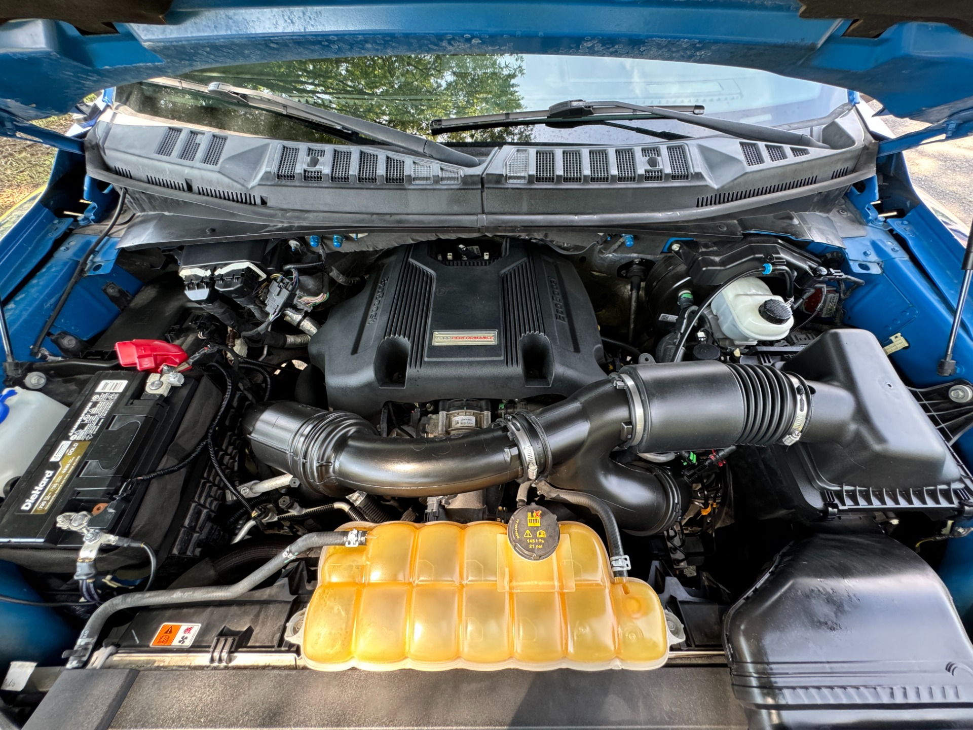 Used 2017 Ford F-150 RAPTOR SUPERCREW 4X4 3.5L / 10-SPD / TECH / SONY / PRO-TRAILER / REARVIEW for sale $54,495 at Formula Imports in Charlotte NC 28227 54