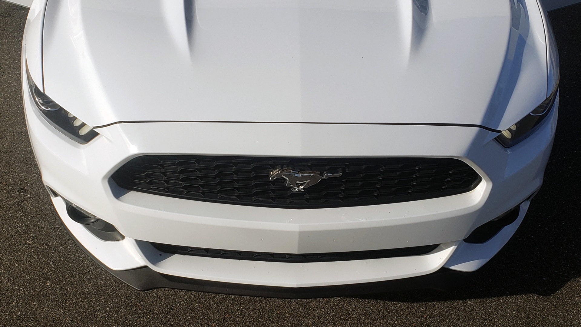 Used 2017 Ford MUSTANG PREMIUM COUPE 2.3L ECOBOOST / AUTO / 18-IN WHEELS / REARVIEW for sale Sold at Formula Imports in Charlotte NC 28227 21