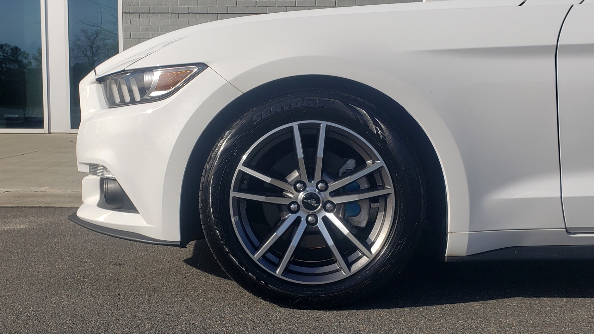 Used 2017 Ford MUSTANG PREMIUM COUPE 2.3L ECOBOOST / AUTO / 18-IN WHEELS / REARVIEW for sale Sold at Formula Imports in Charlotte NC 28227 67