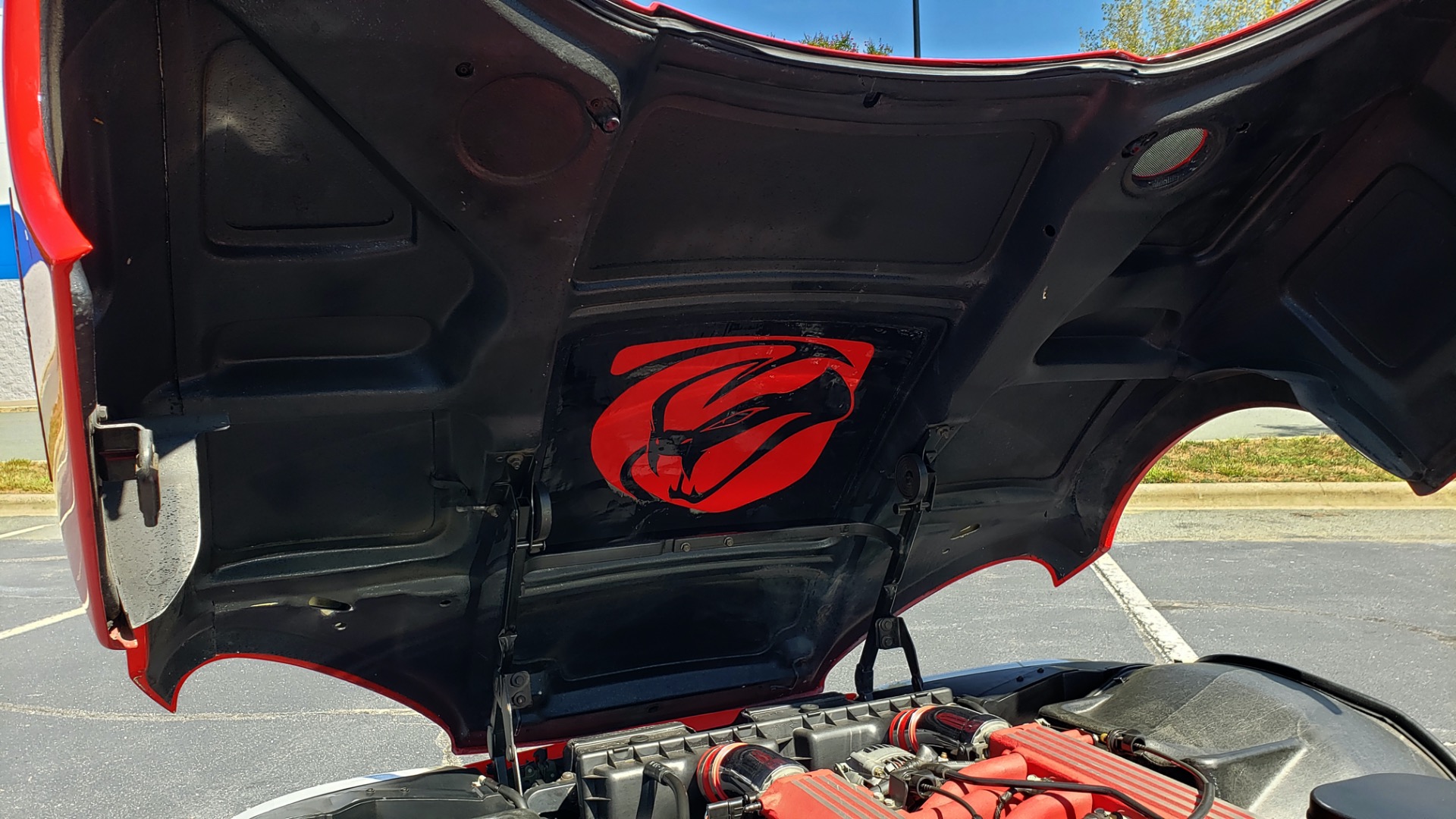 Used 1993 Dodge VIPER RT/10 COUPE / 6-SPD MAN / REMOVABLE TOP / LOW MILES for sale Sold at Formula Imports in Charlotte NC 28227 6