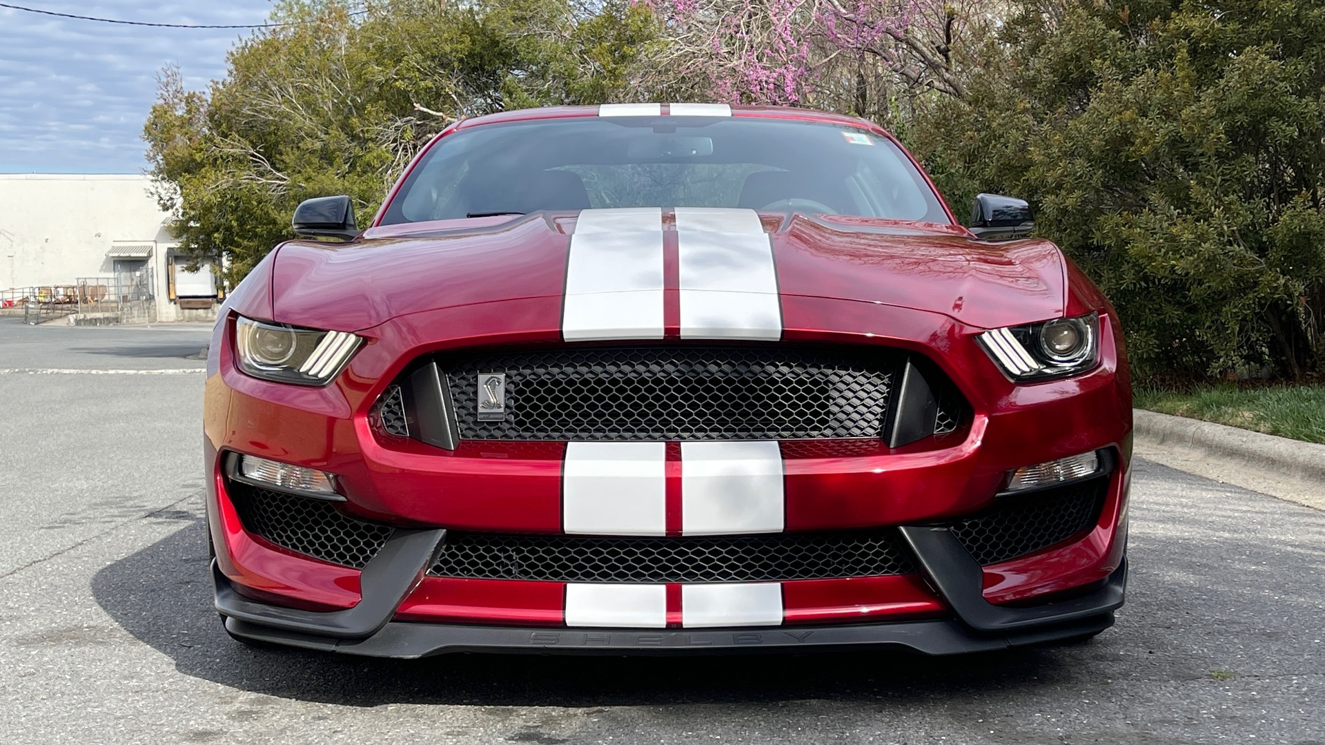 Used 2017 Ford MUSTANG SHELBY GT350 COUPE / 526HP / 6-SPD MAN / NAV / SHAKER SND / REARVIEW for sale Sold at Formula Imports in Charlotte NC 28227 10