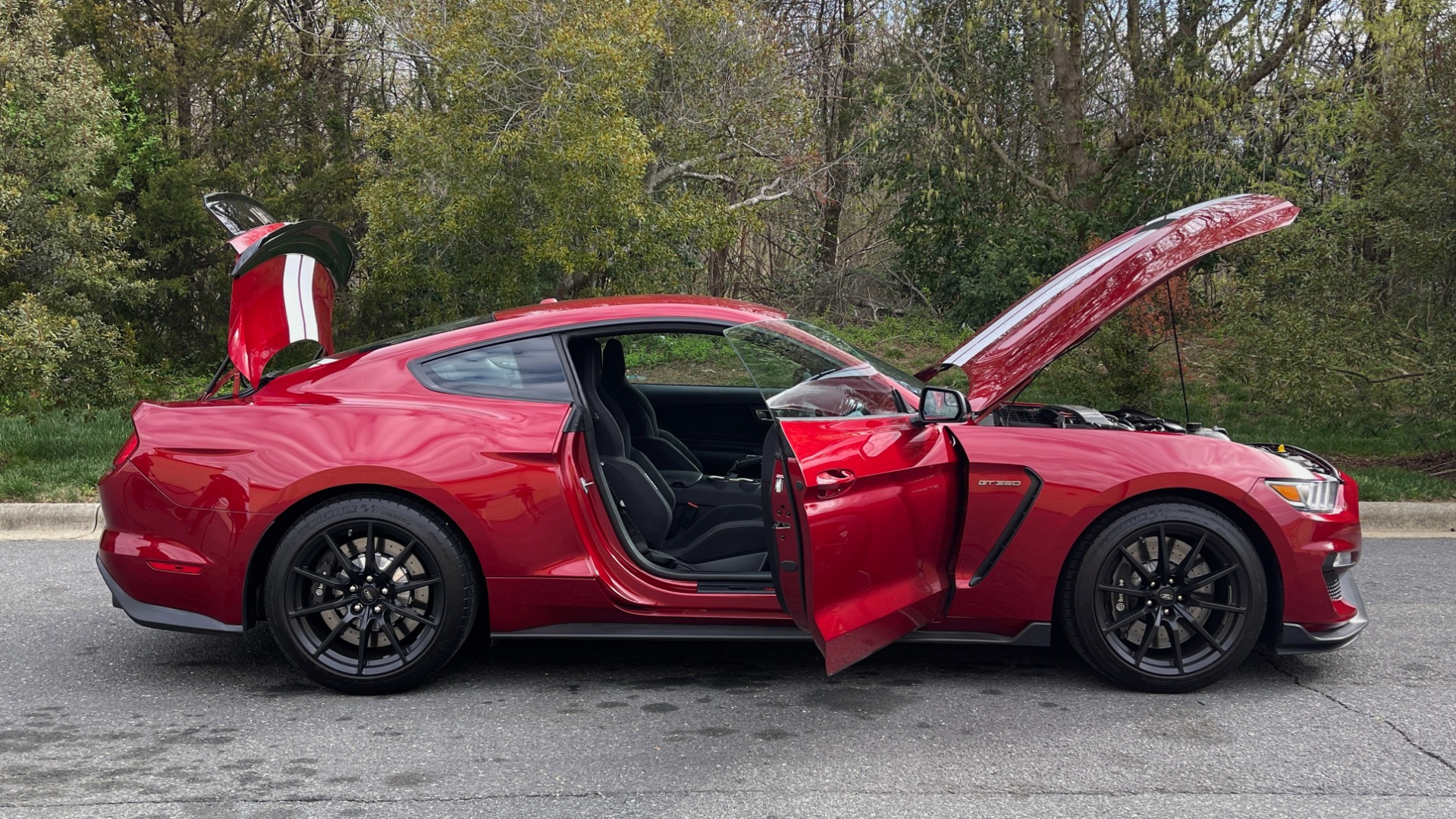 Used 2017 Ford MUSTANG SHELBY GT350 COUPE / 526HP / 6-SPD MAN / NAV / SHAKER SND / REARVIEW for sale Sold at Formula Imports in Charlotte NC 28227 15
