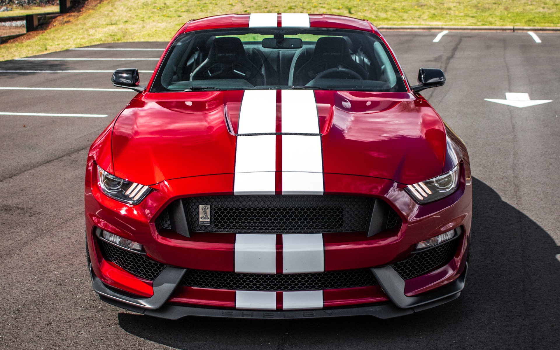 Used 2017 Ford MUSTANG SHELBY GT350 COUPE / 526HP / 6-SPD MAN / NAV / SHAKER SND / REARVIEW for sale Sold at Formula Imports in Charlotte NC 28227 2