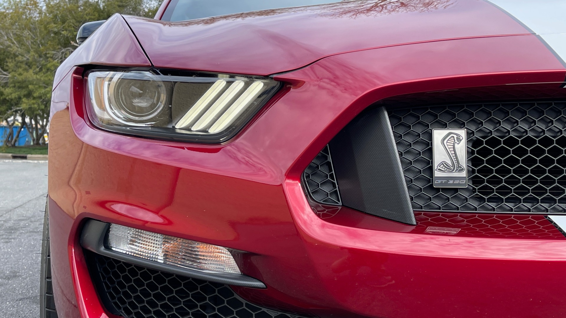 Used 2017 Ford MUSTANG SHELBY GT350 COUPE / 526HP / 6-SPD MAN / NAV / SHAKER SND / REARVIEW for sale Sold at Formula Imports in Charlotte NC 28227 23