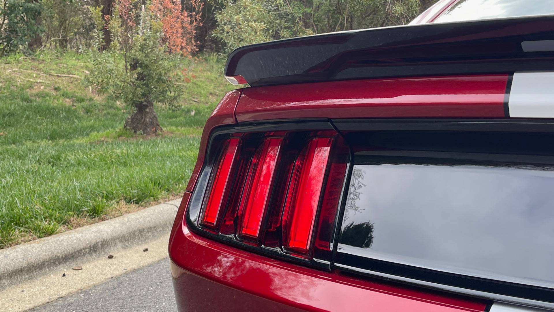 Used 2017 Ford MUSTANG SHELBY GT350 COUPE / 526HP / 6-SPD MAN / NAV / SHAKER SND / REARVIEW for sale Sold at Formula Imports in Charlotte NC 28227 28