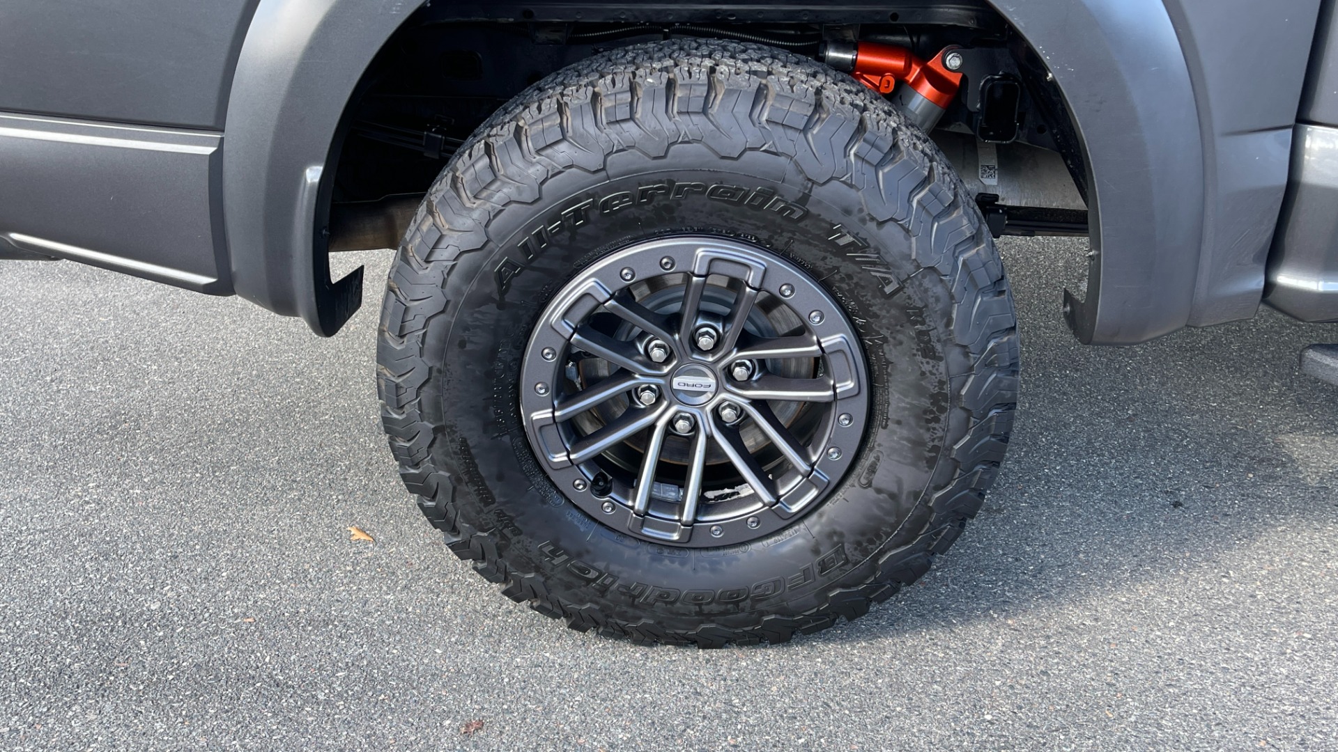 Used 2019 Ford F-150 RAPTOR / 802A PACKAGE / LIGHT PODS / CARBON FIBER / PANORAMIC ROOF for sale Sold at Formula Imports in Charlotte NC 28227 53
