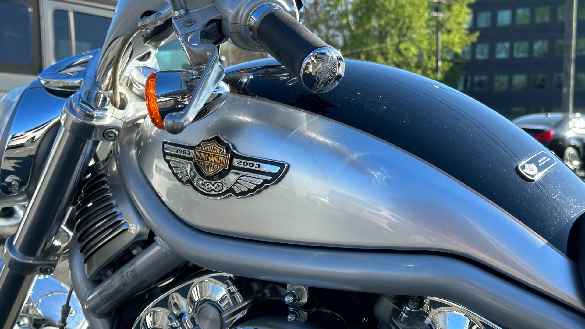 Used 2003 Harley Davidson V Rod ANNIVERSARY EDITION / 1130CC ENGINE / BREMBO BRAKES / VORTEX AIR SCOOPS for sale $7,695 at Formula Imports in Charlotte NC 28227 41