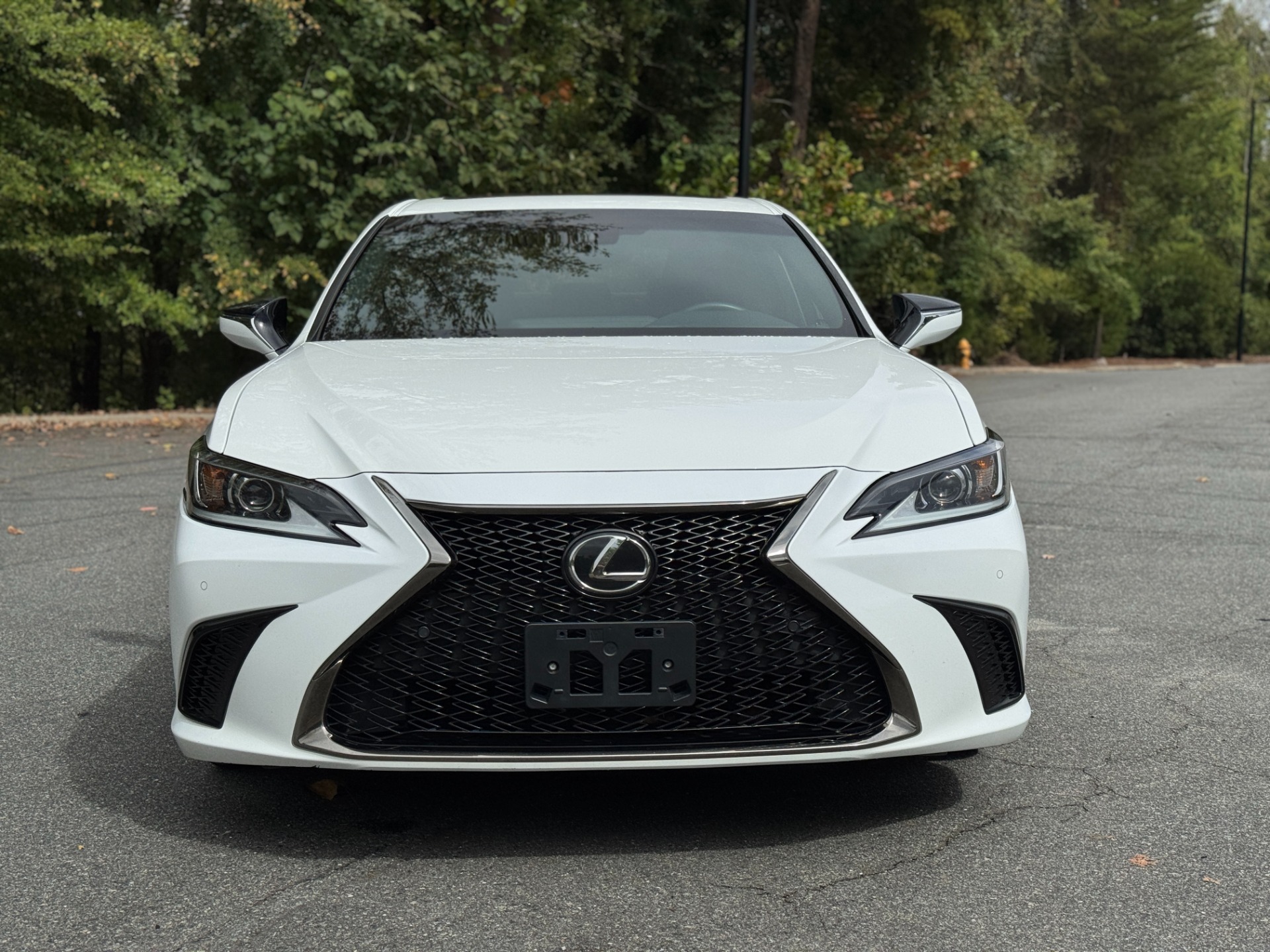 2021 Lexus ES 250 F SPORT photo 2