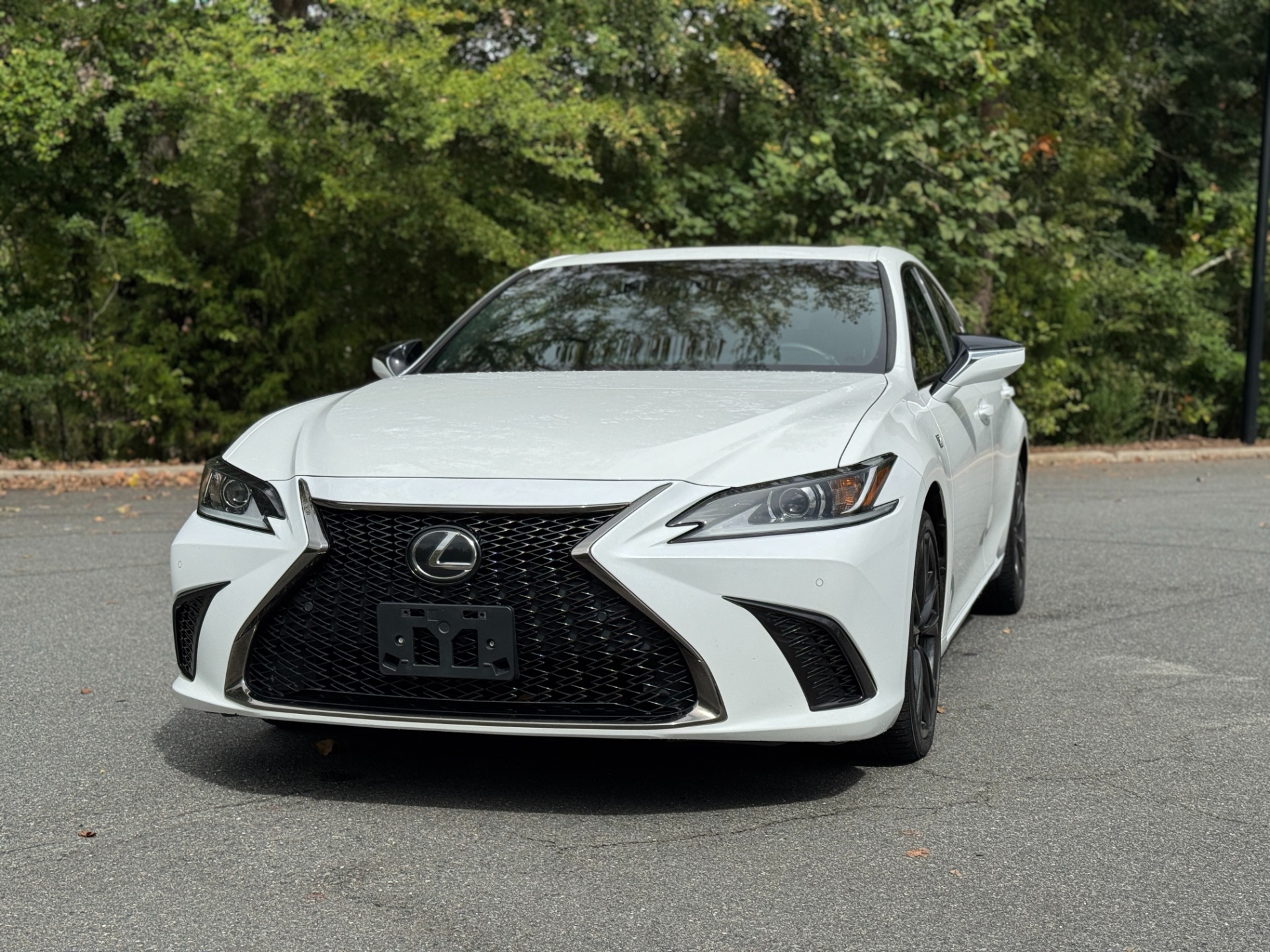 2021 Lexus ES 250 F SPORT photo 3